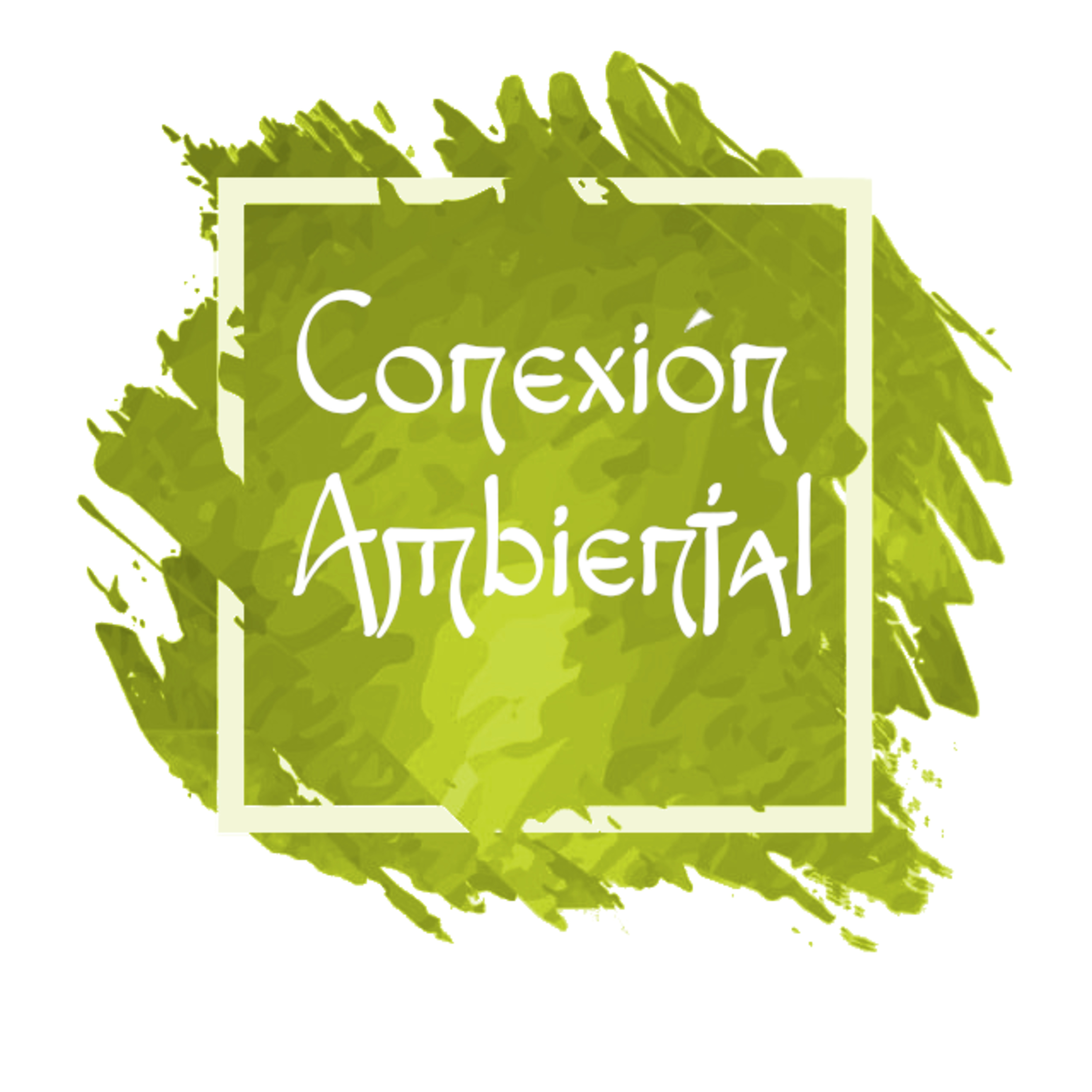Séptima Conexión