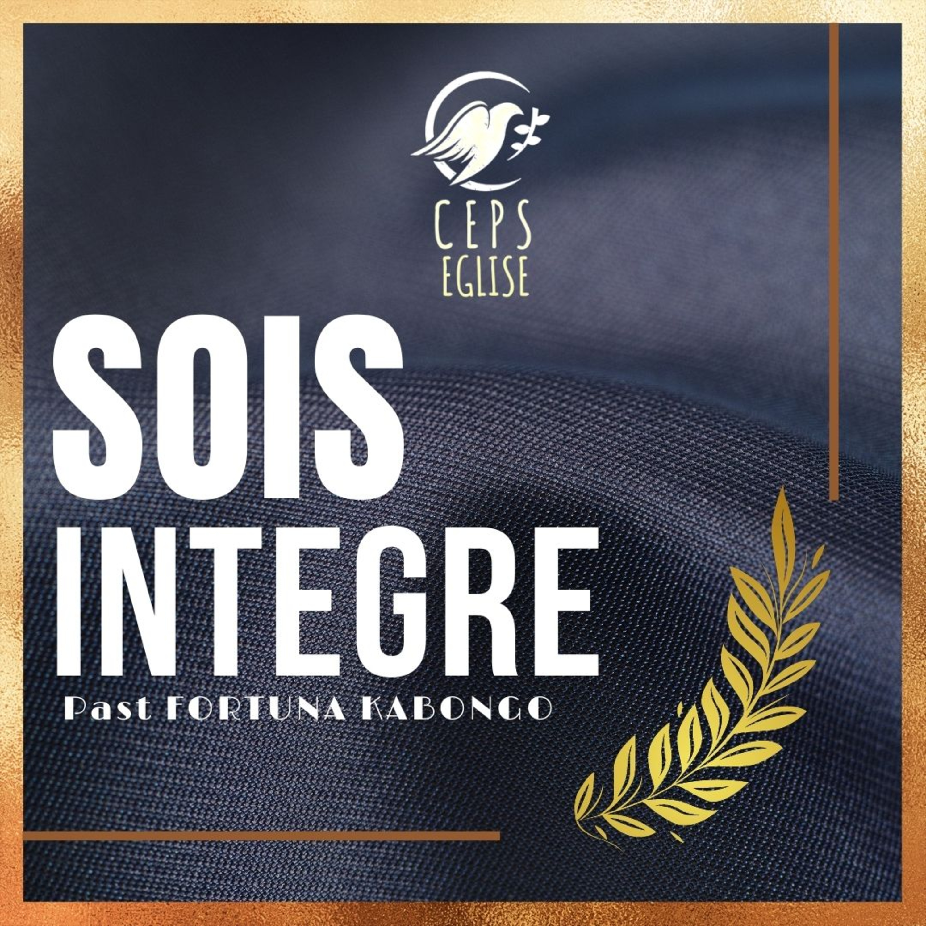Sois Intègre / Past Fortuna Kabongo  episode artwork
