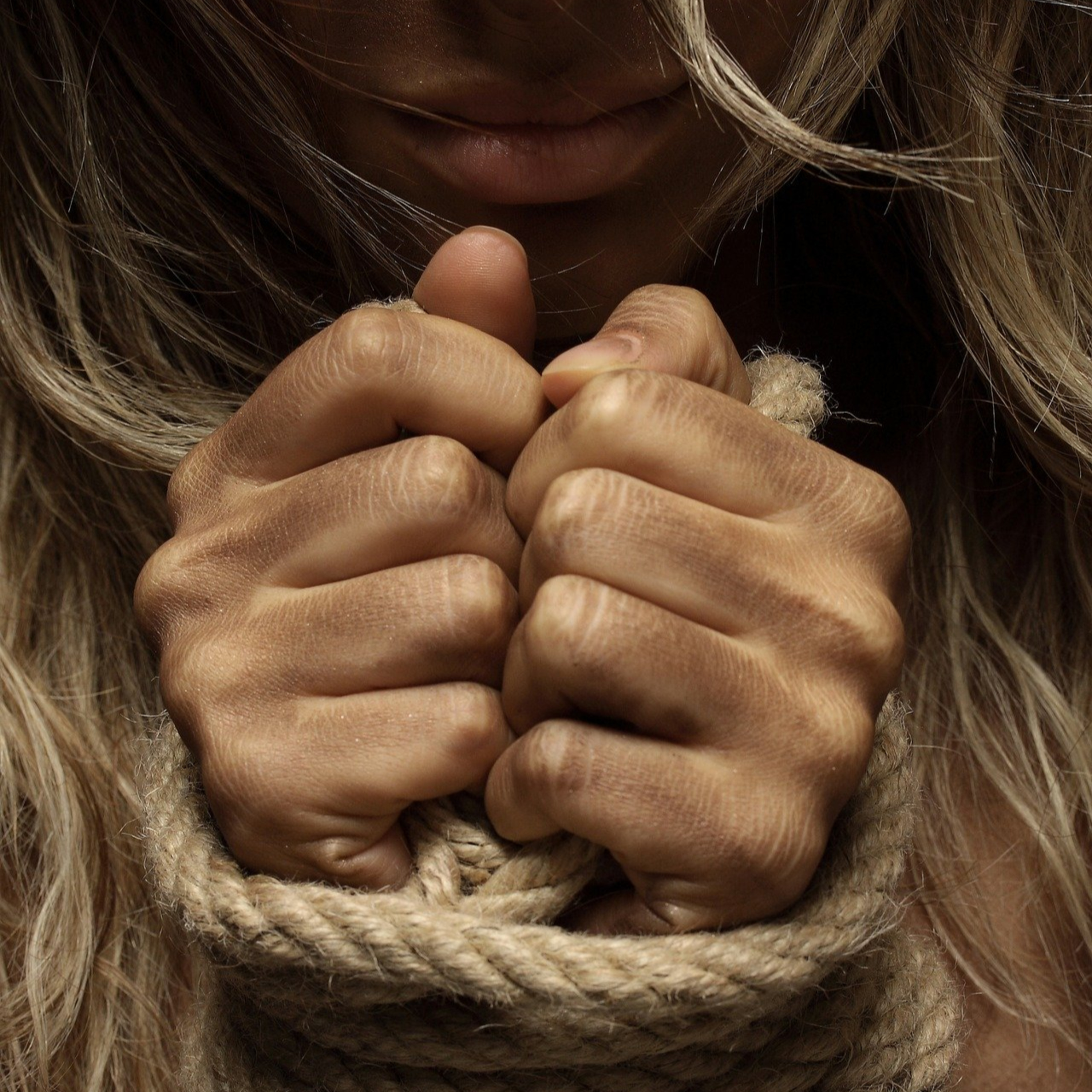 Estudo Bíblico Online