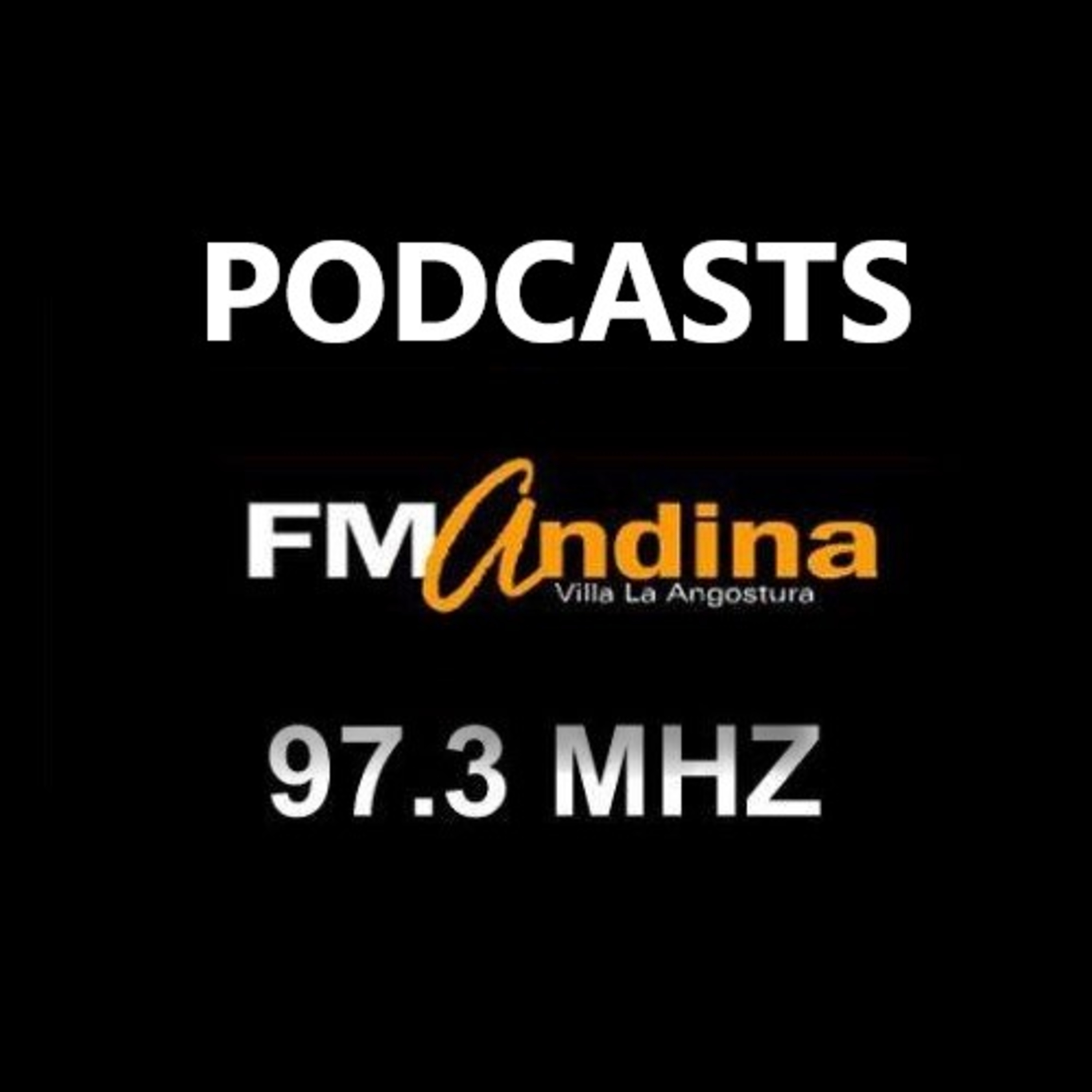 FM Andina