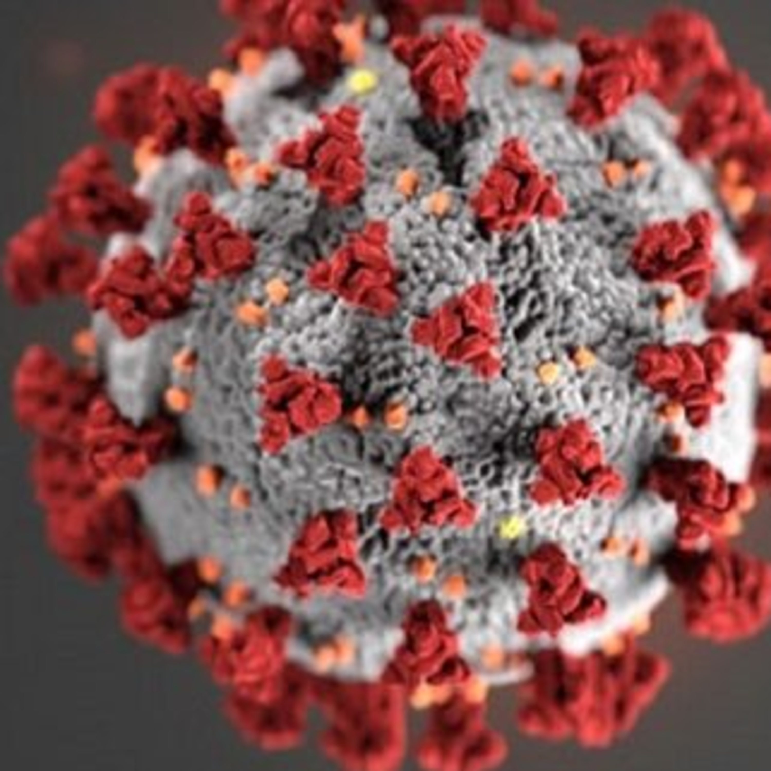 Onder Mijn Rode Paraplu