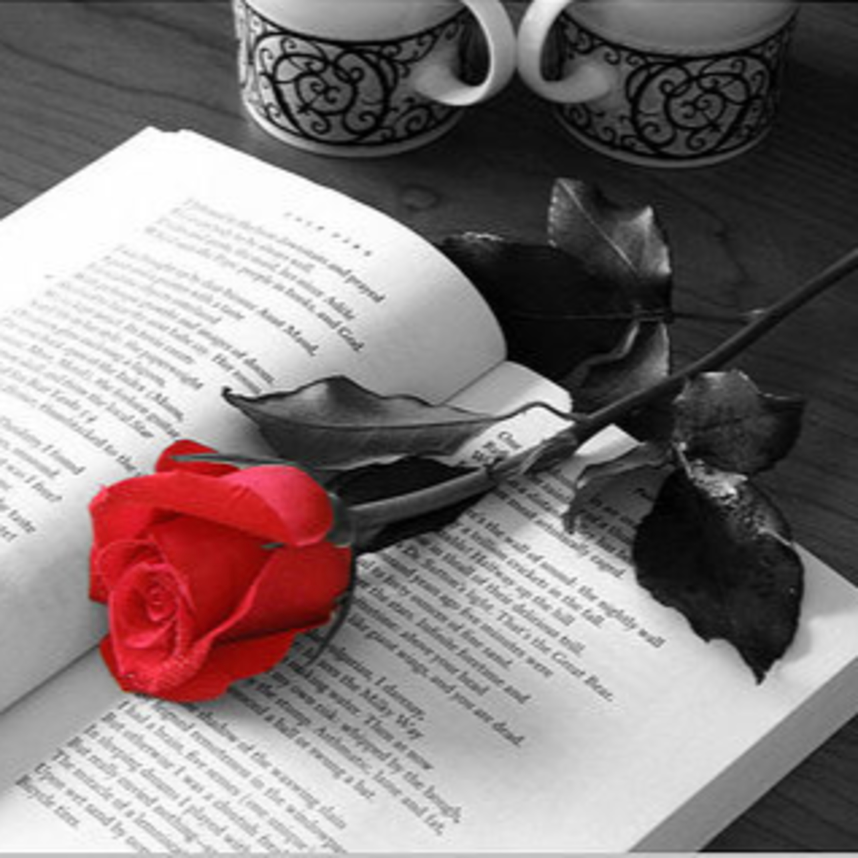 Kingdom Woman Ministries: Rising and Winning!