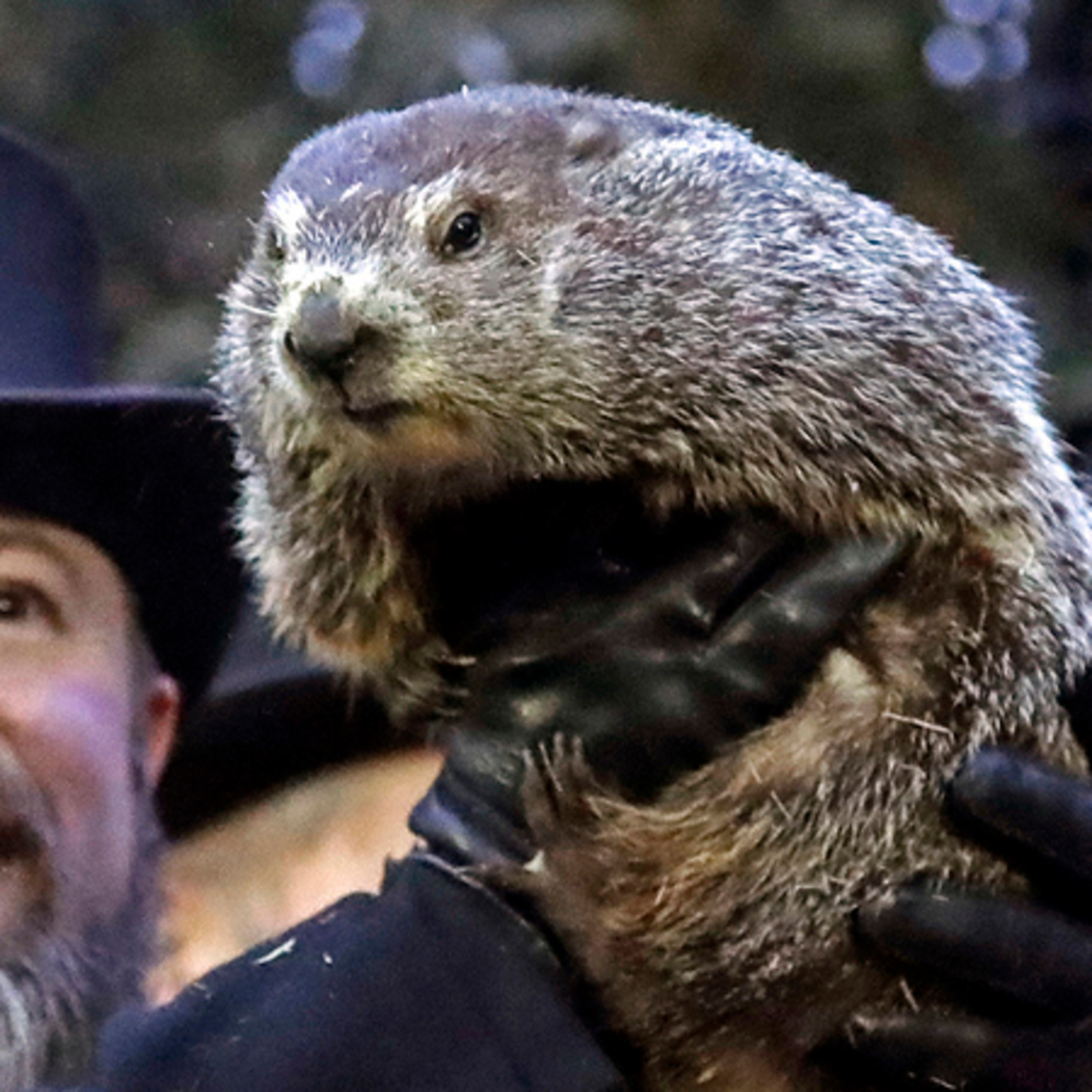 HAPPY GROUNDHOG DAY!