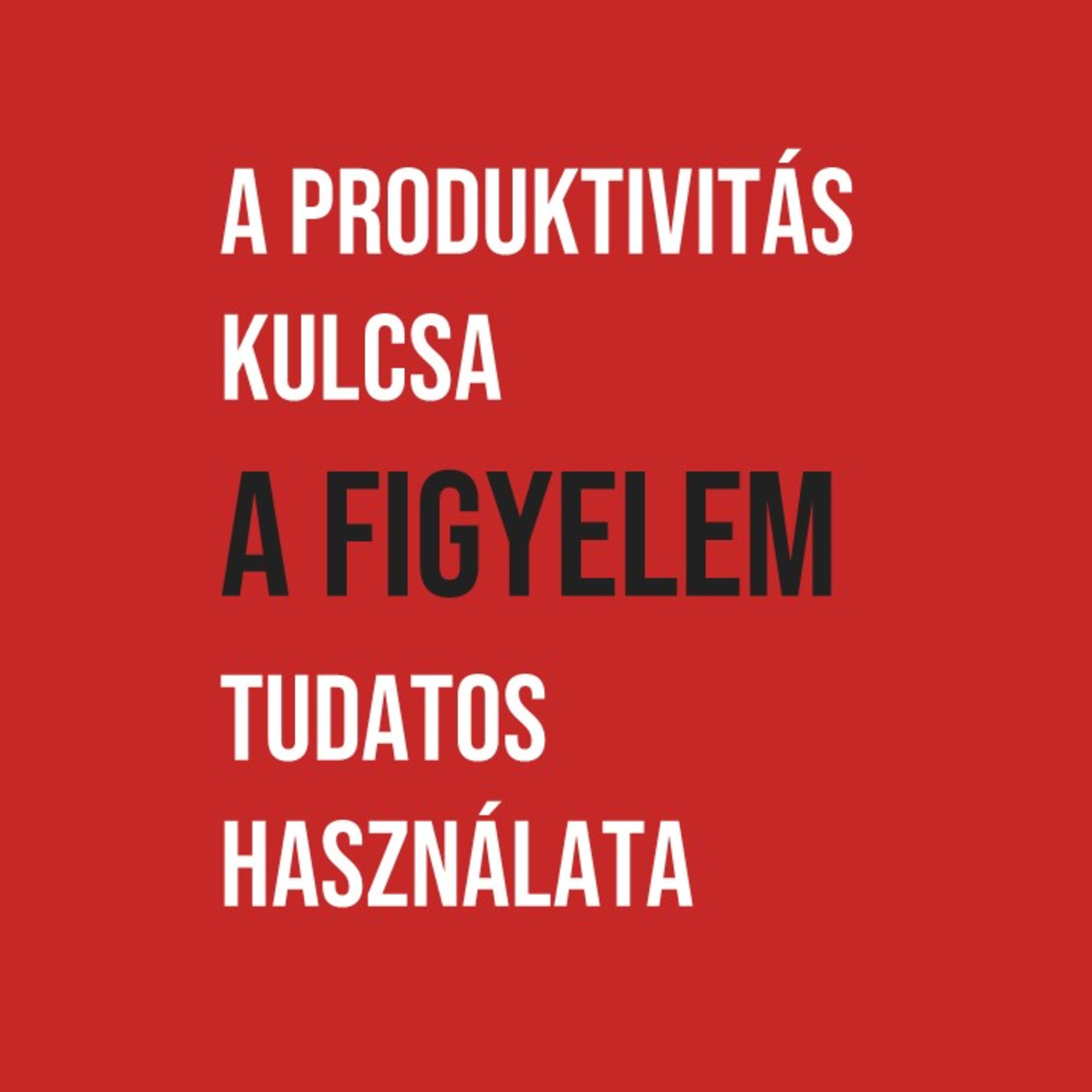 Végh József: Dolgozz okosan!