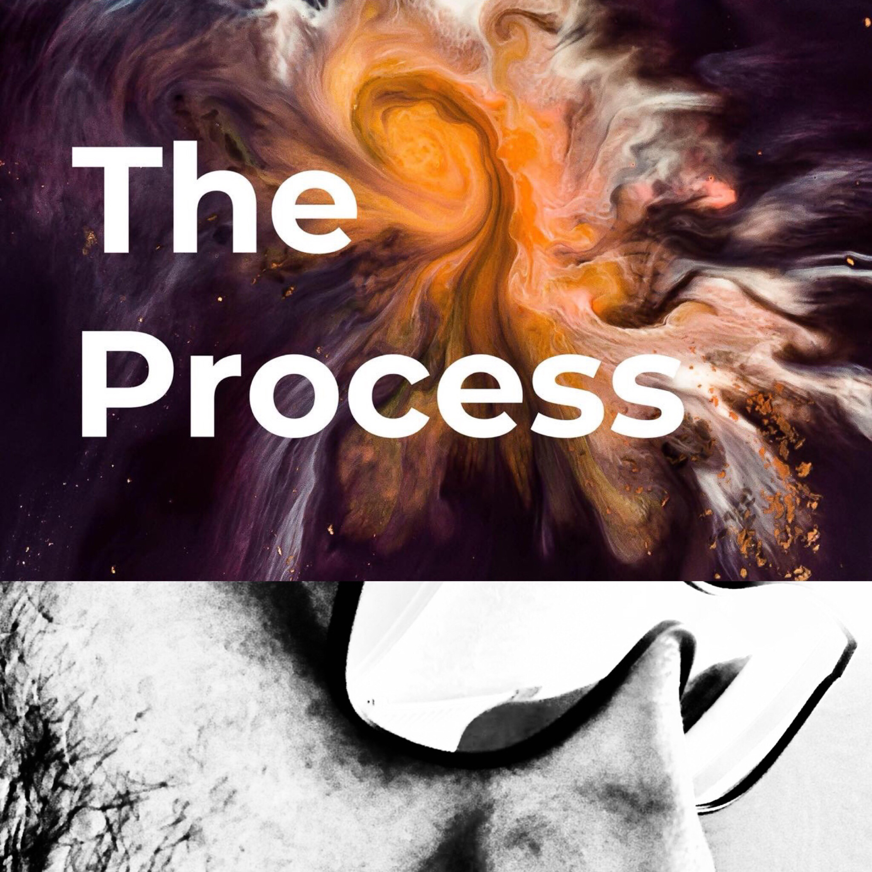 The Process-Season 2