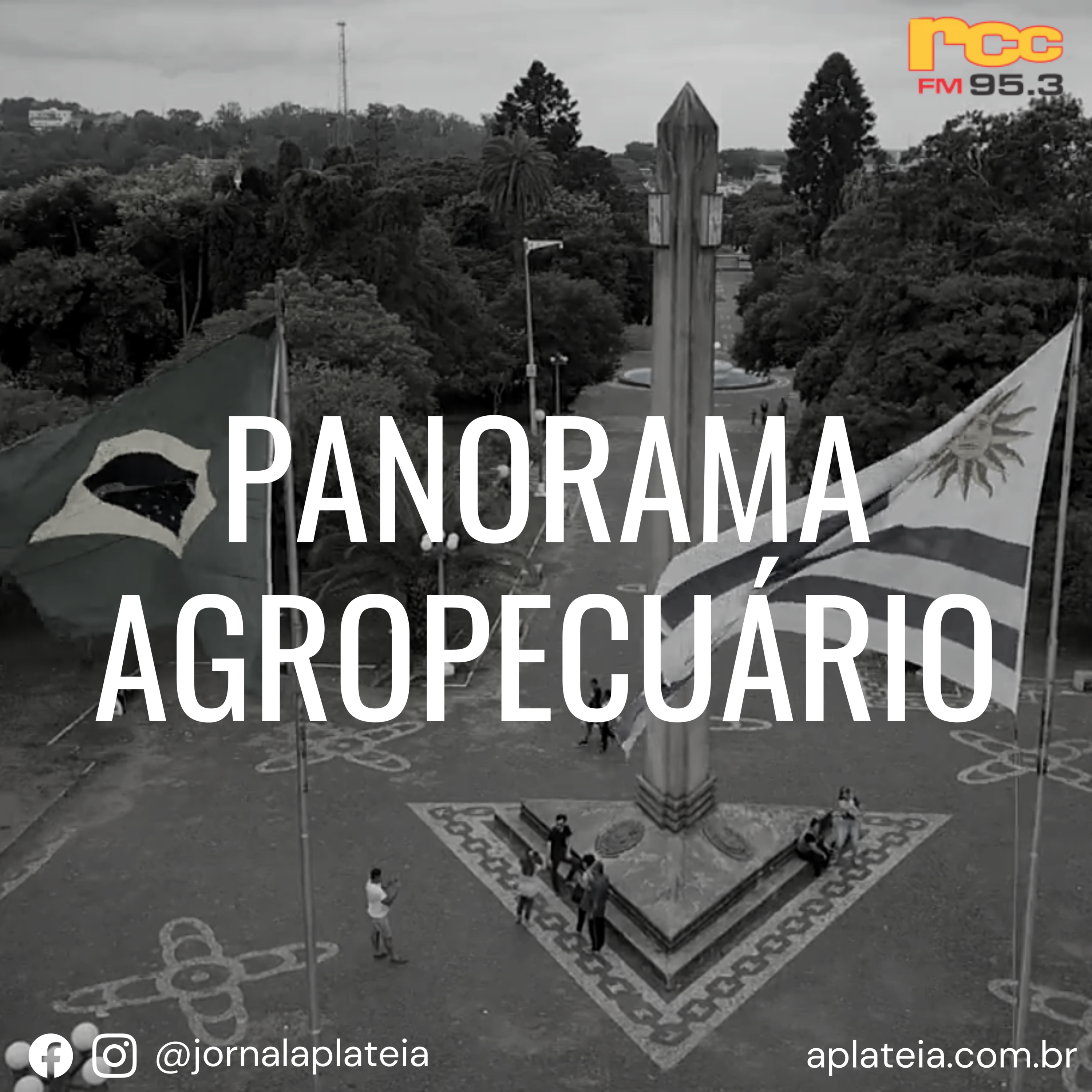 Panorama Agropecuário - 06.08.22