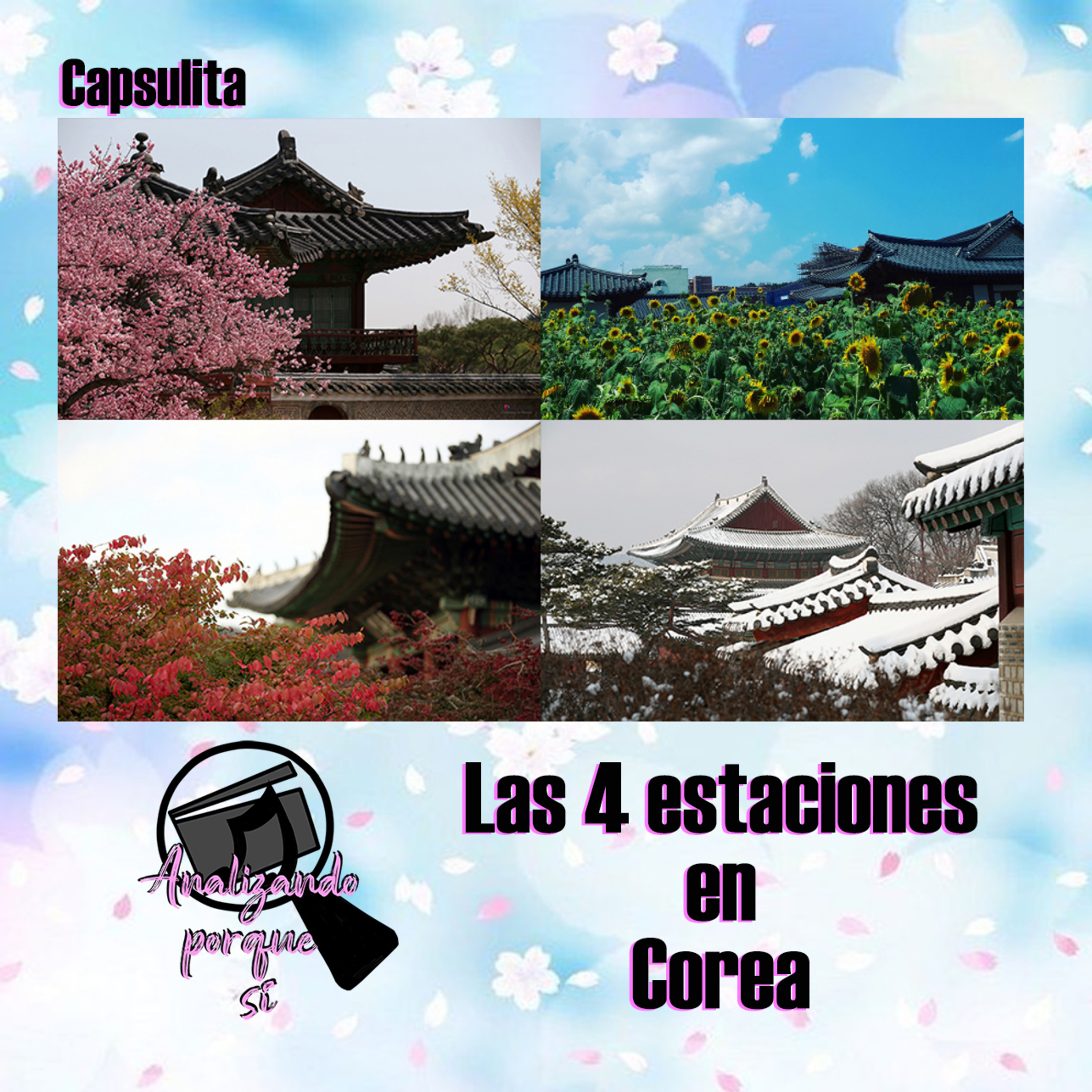 Analizando porque sí
