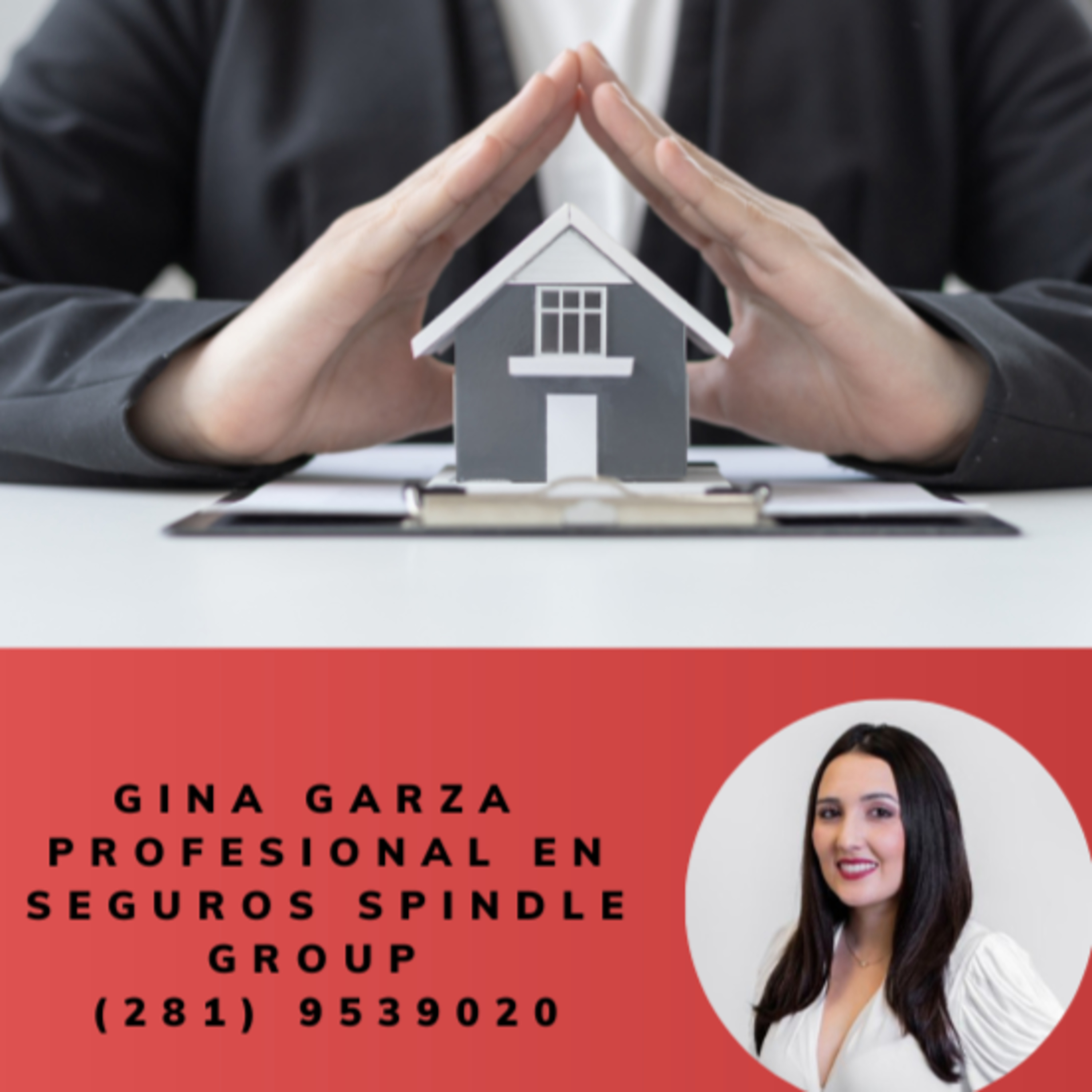 366. Cuales son los factores que afectan el precio de los seguros de las casas?. episode artwork