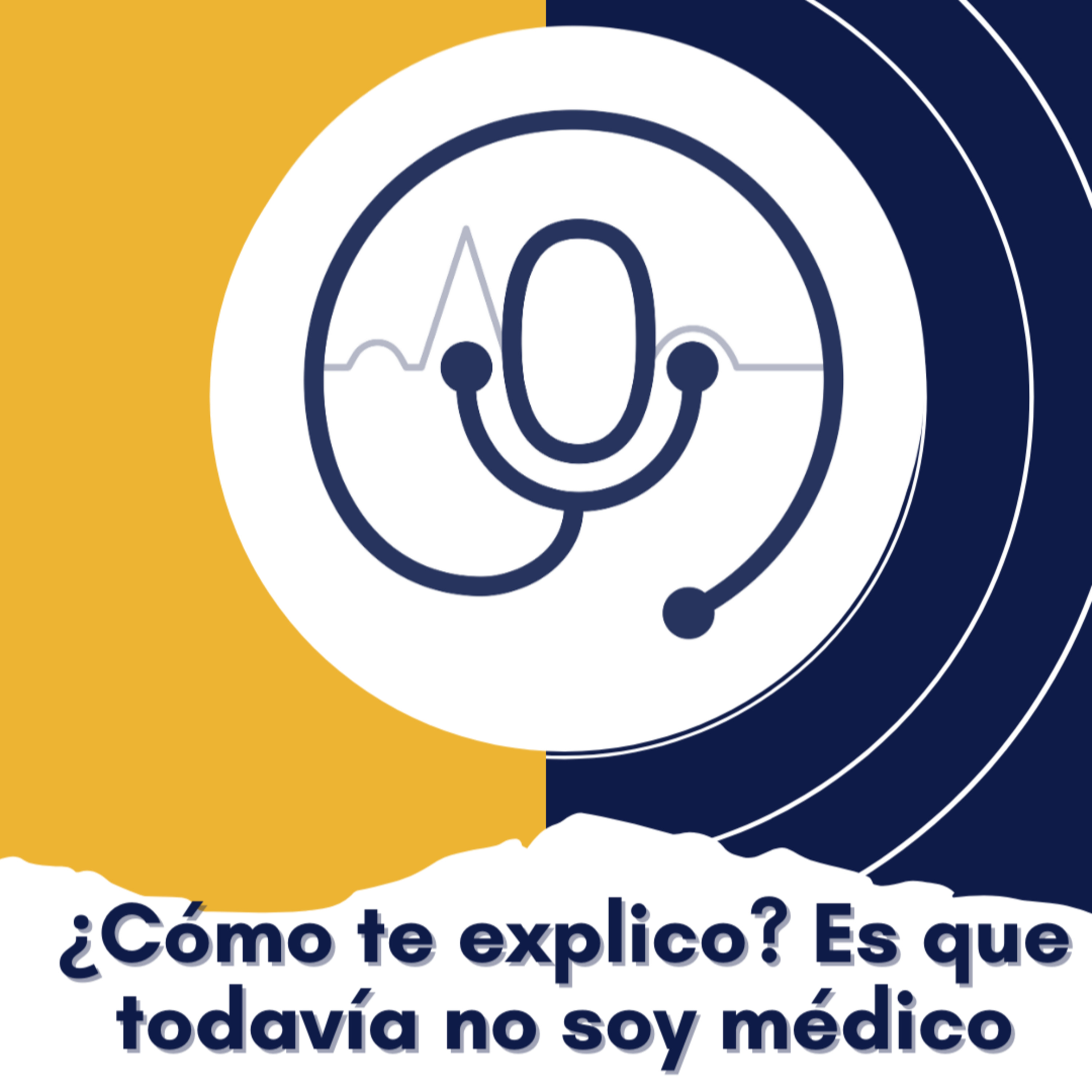 El Lobby de MED