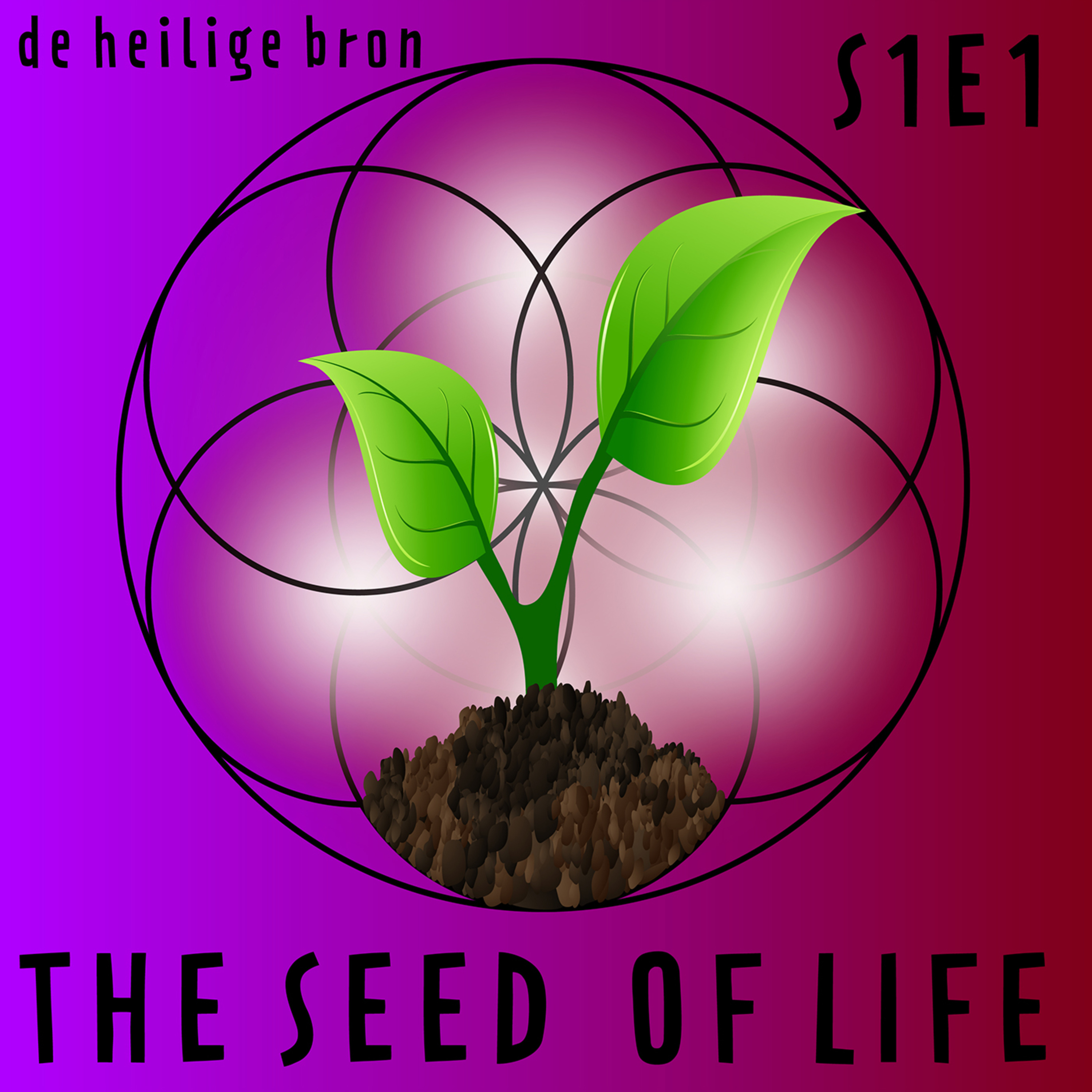 The Seed of Life - De Heilige Bron