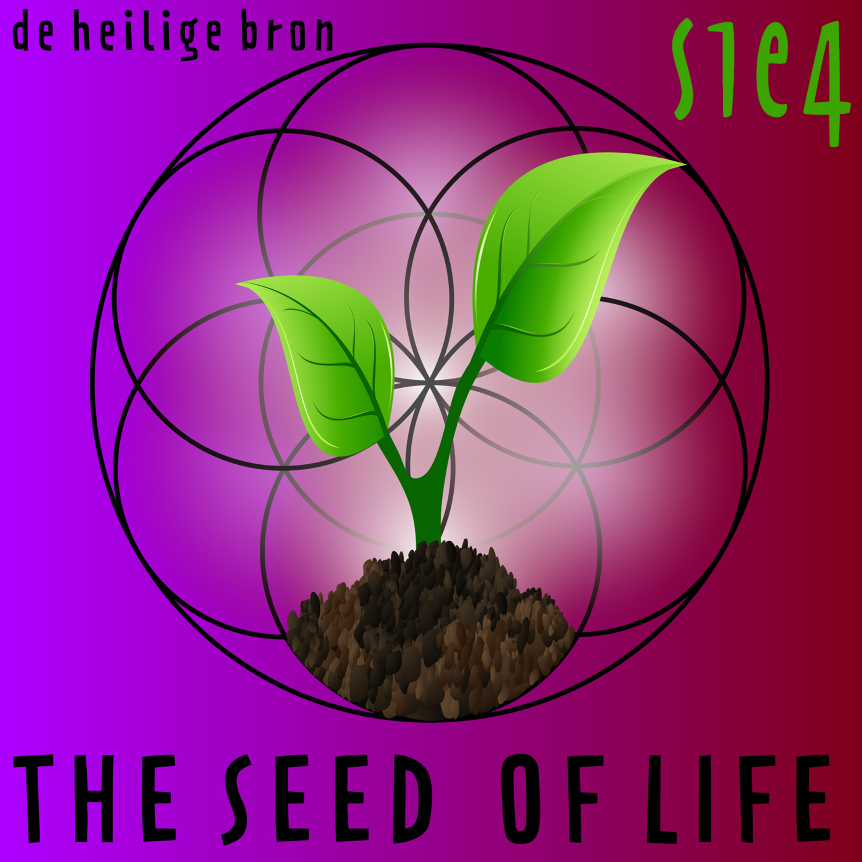 The Seed of Life - De Heilige Bron