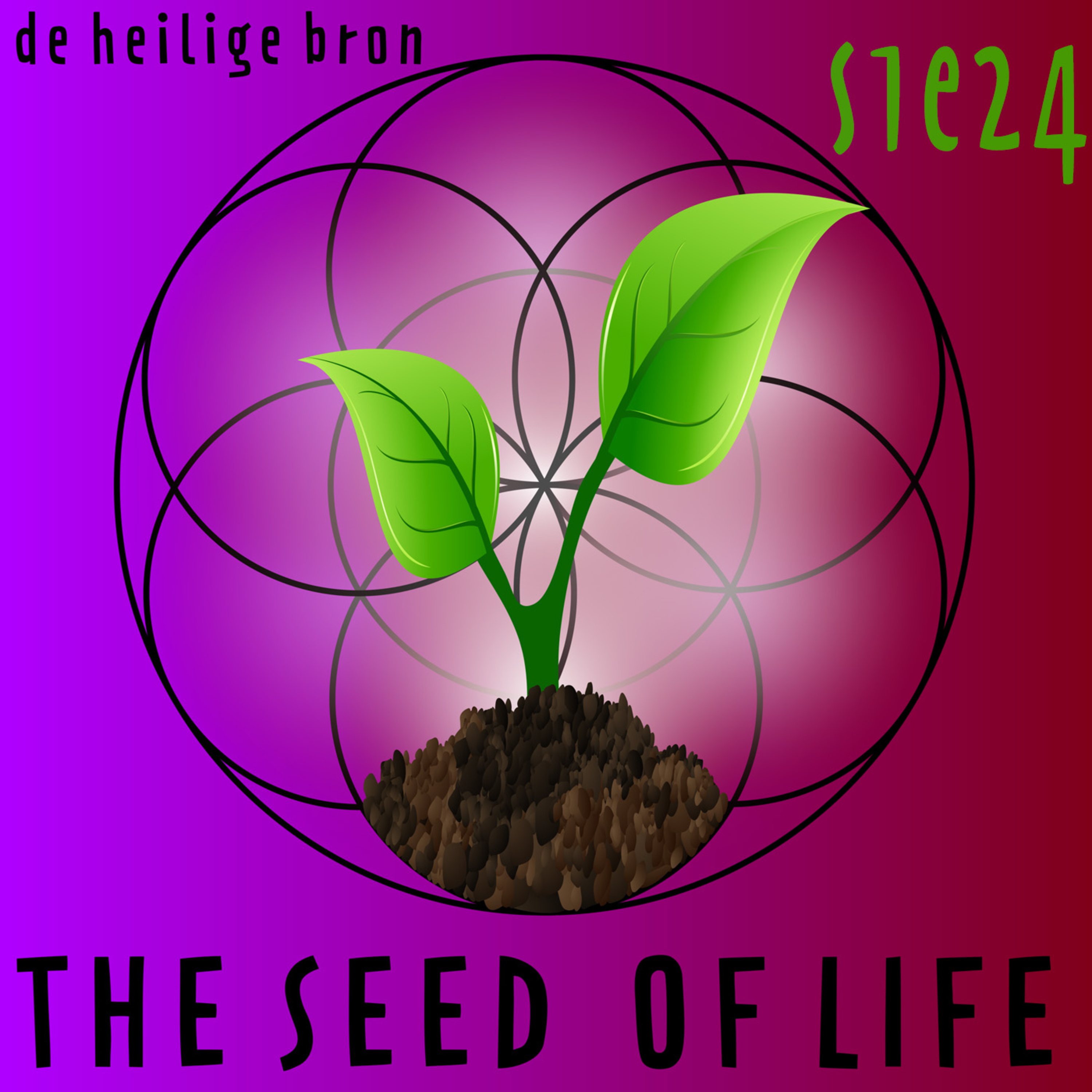 The Seed of Life - De Heilige Bron