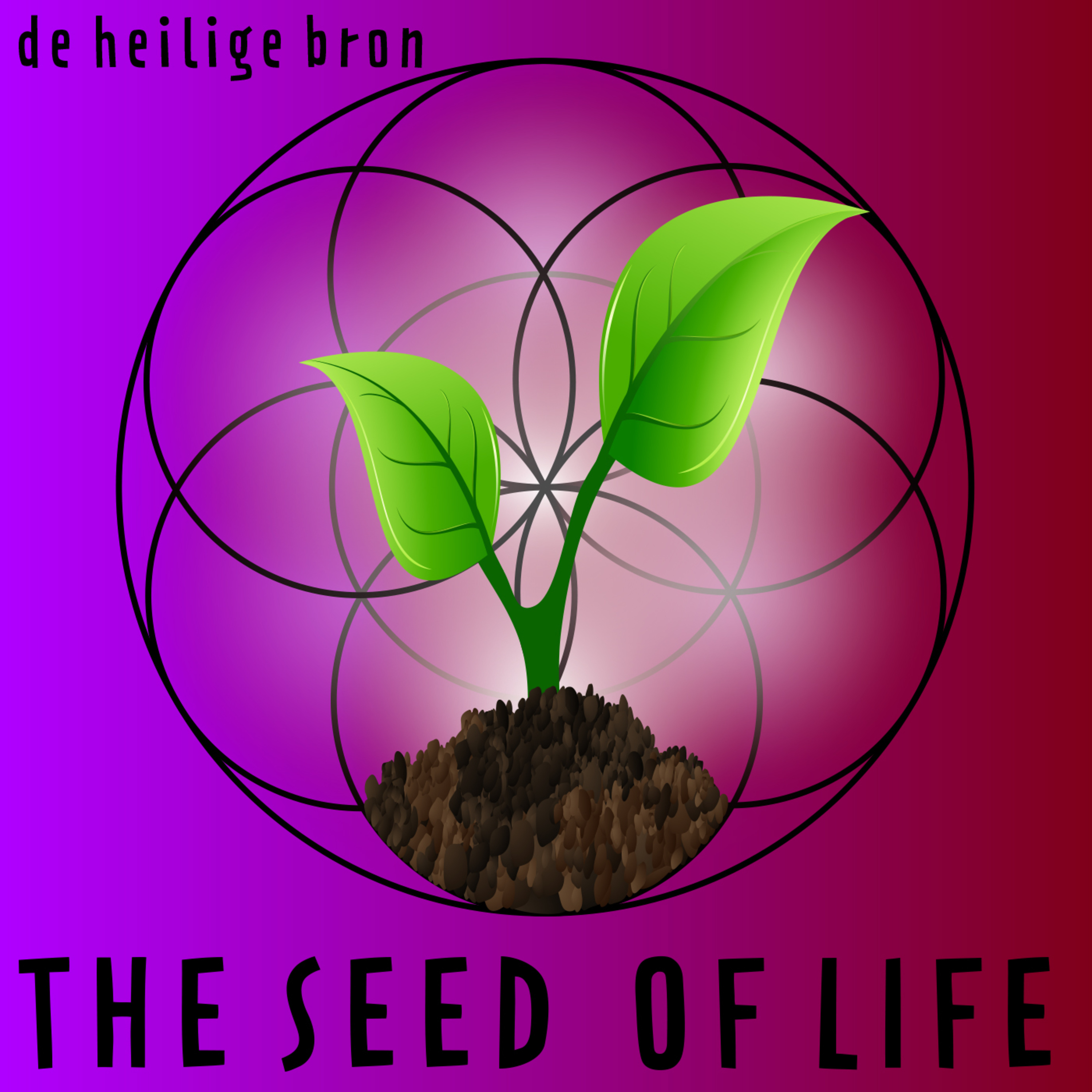 The Seed of Life - De Heilige Bron