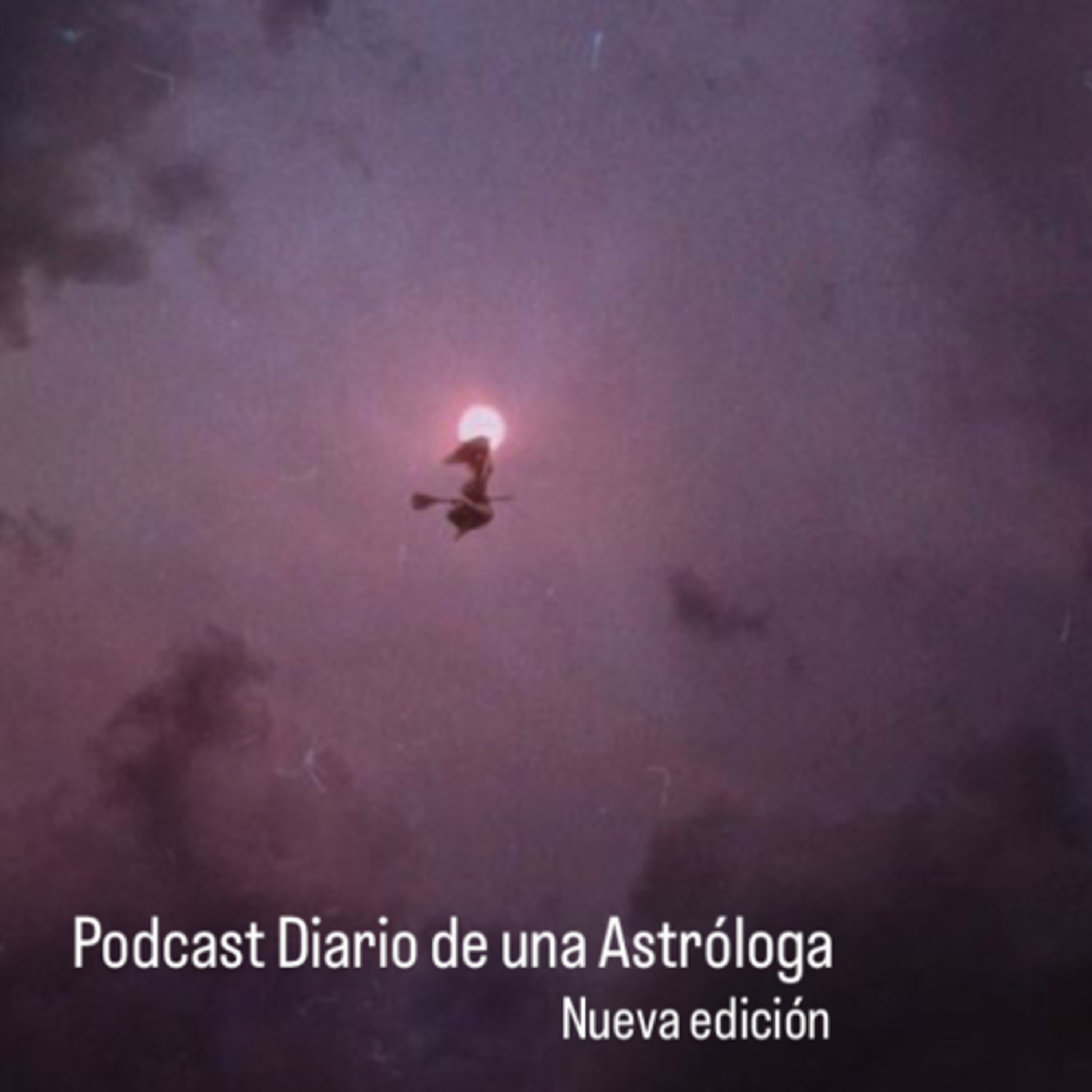 DIARIO DE UNA ASTROLOGA - SINCRONICIDADES DE LAS TRAMAS VINCULARES