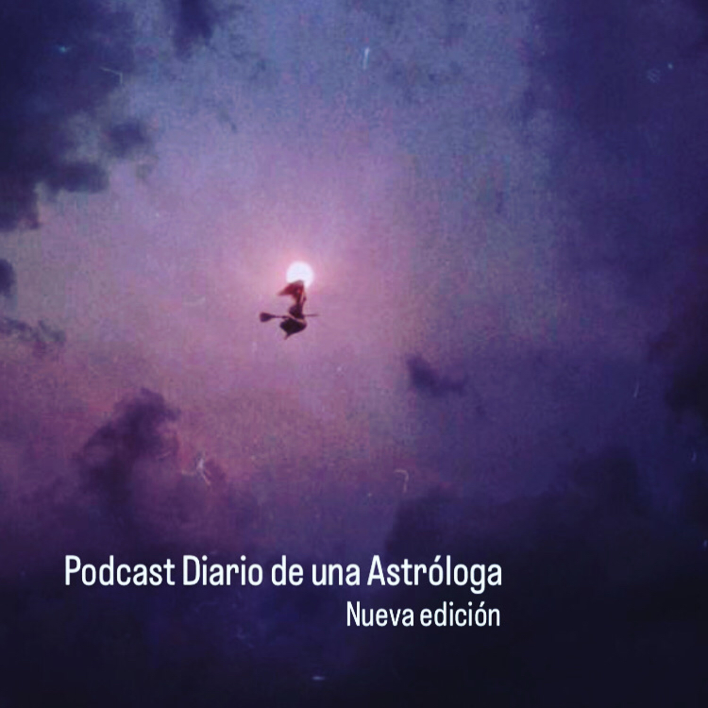 DIARIO DE UNA ASTROLOGA - SINCRONICIDADES DE LAS TRAMAS VINCULARES