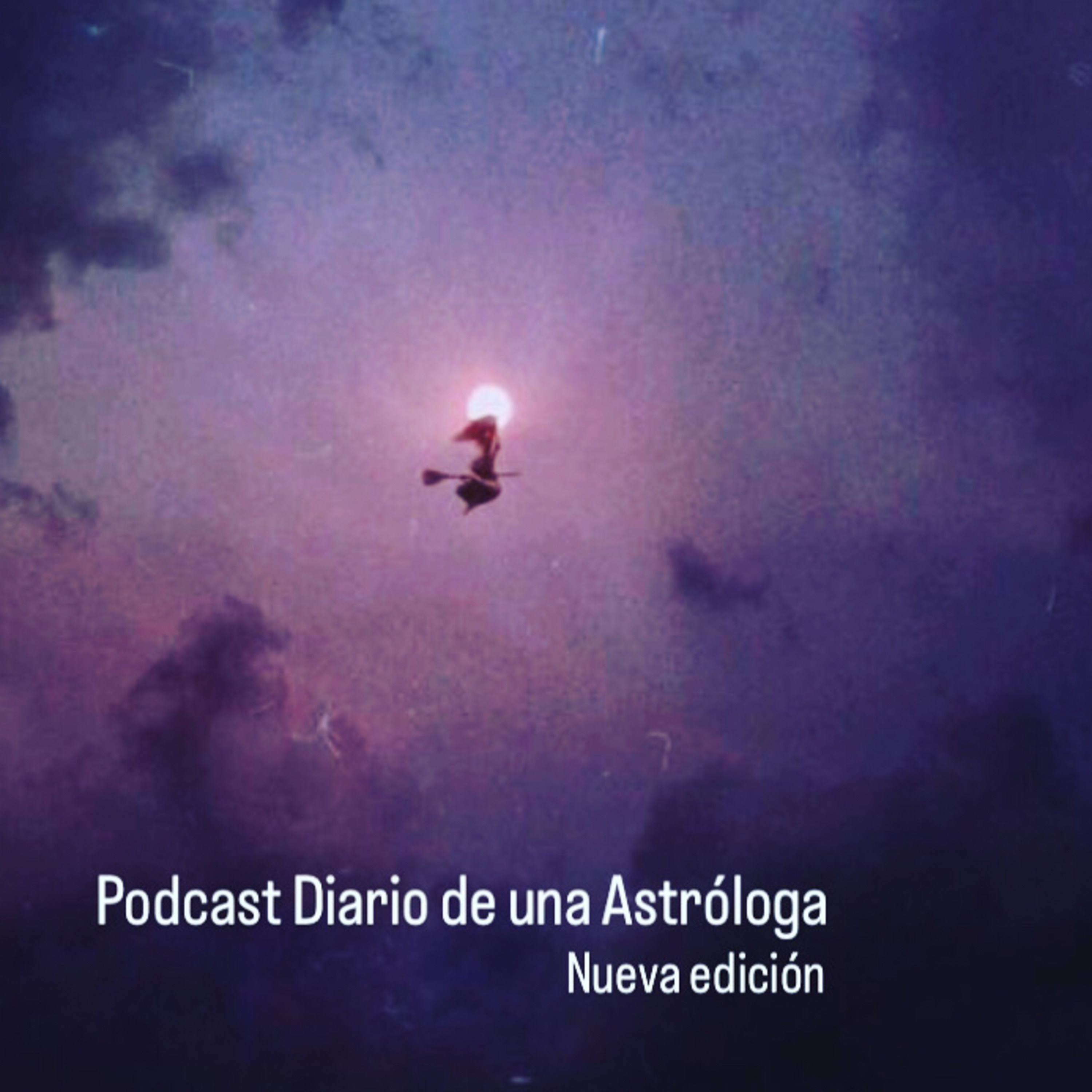 DIARIO DE UNA ASTROLOGA - SINCRONICIDADES DE LAS TRAMAS VINCULARES