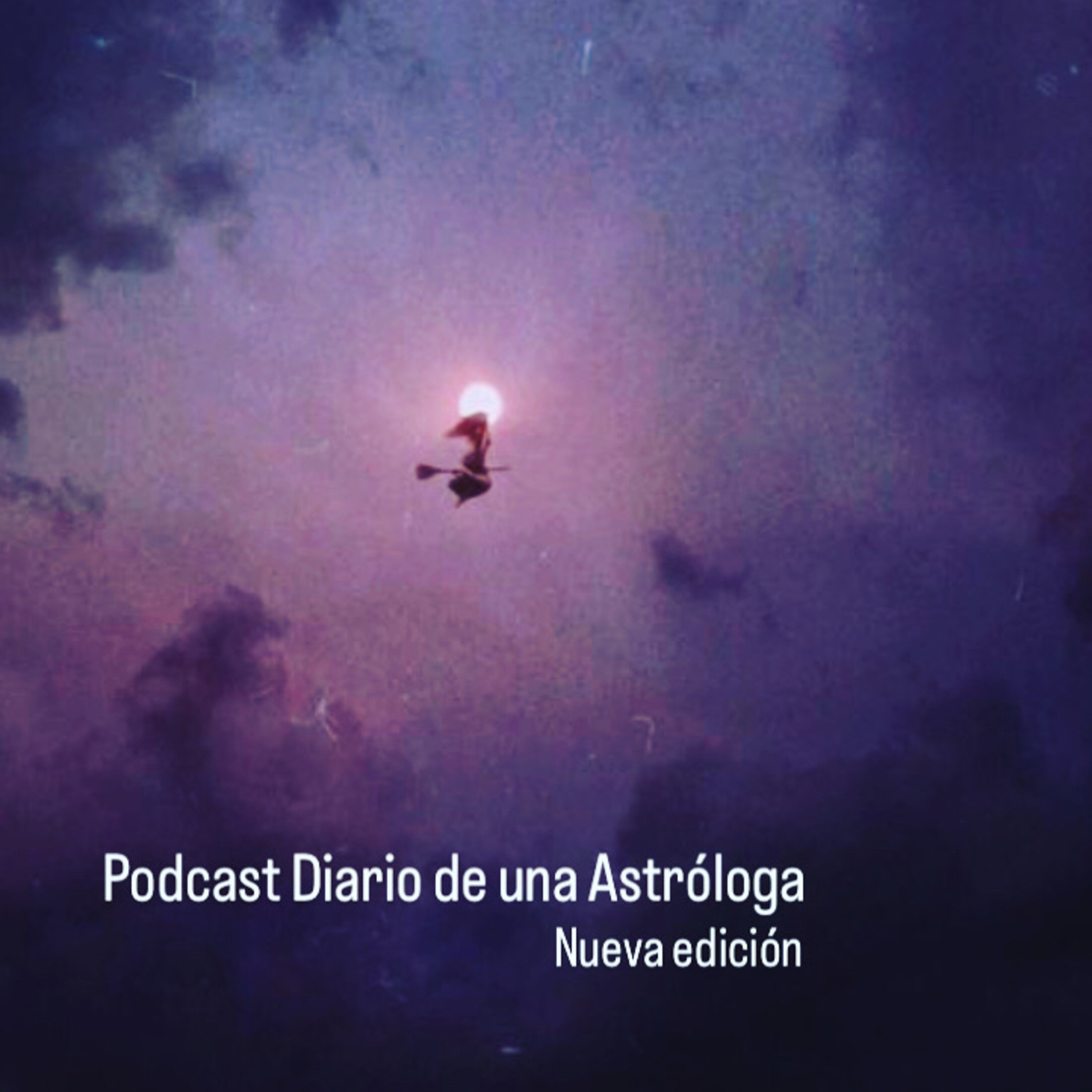 DIARIO DE UNA ASTROLOGA - SINCRONICIDADES DE LAS TRAMAS VINCULARES