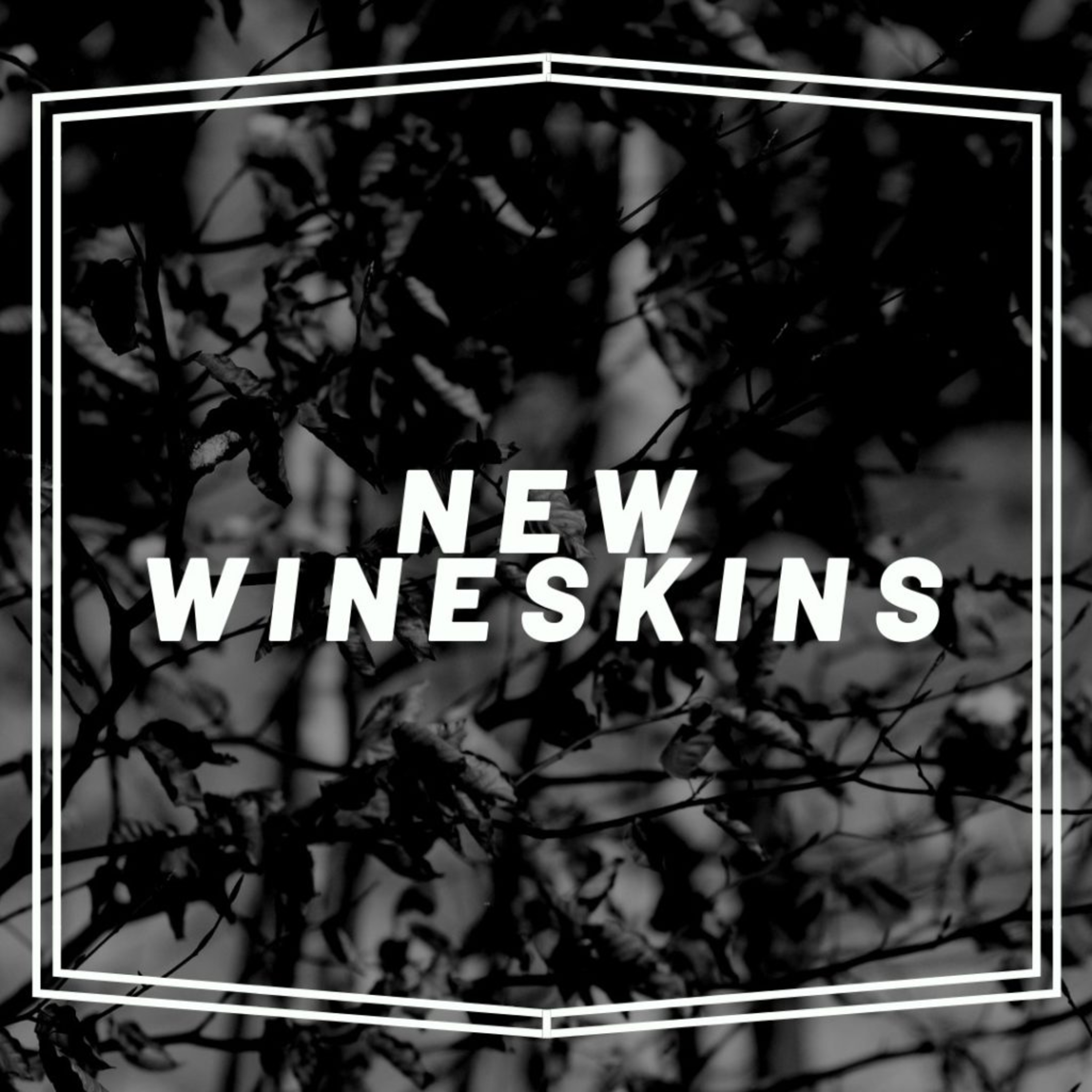 New Wineskins - Peter Holford episode artwork