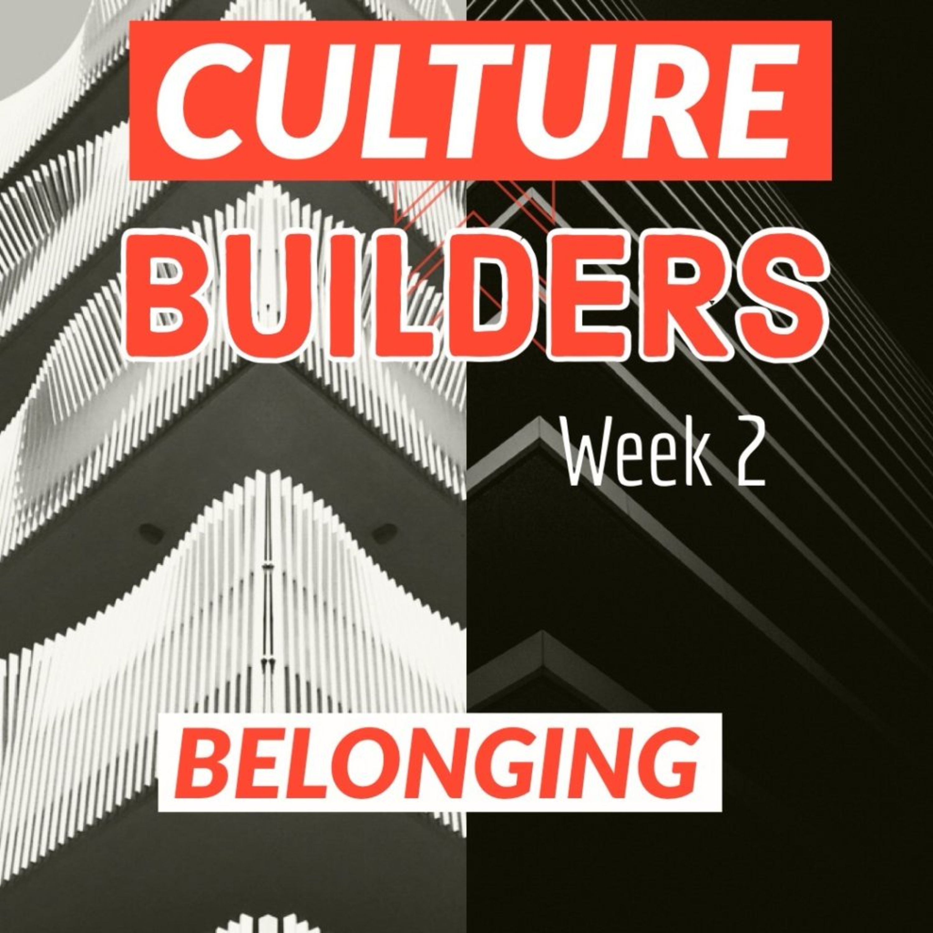 Culture Builders - Week 2 - Belonging - Rachael Moran episode artwork