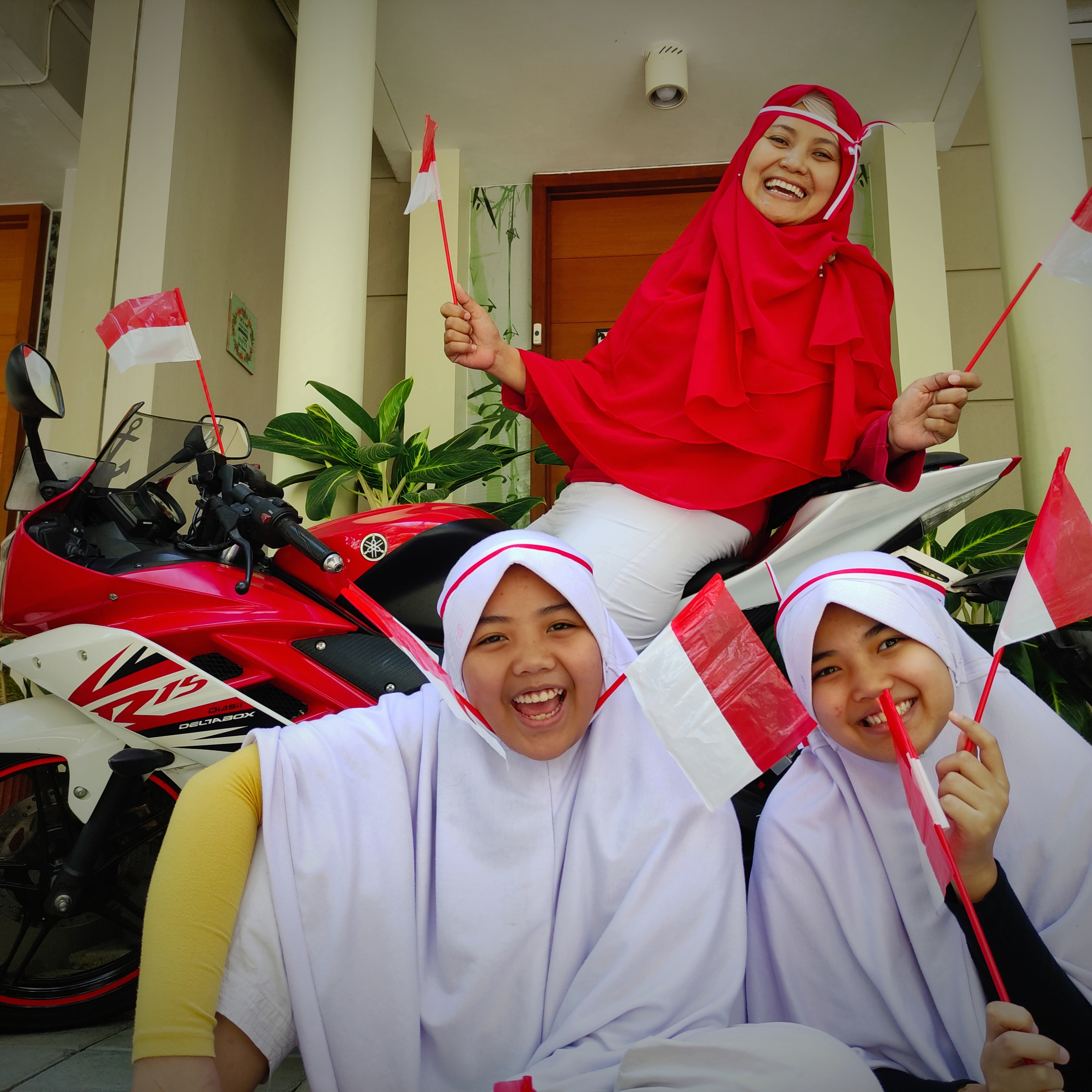 victry.ani