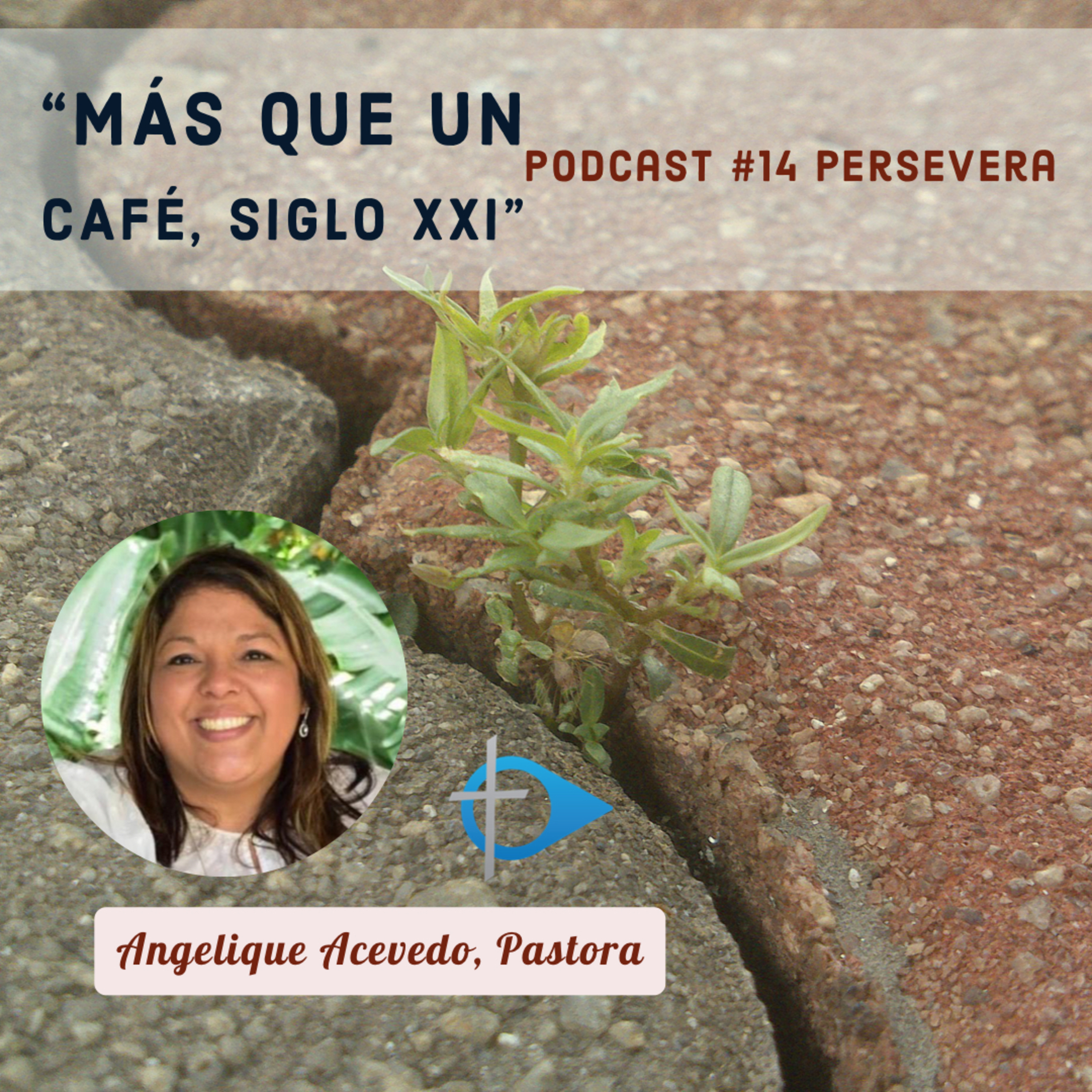 Más que un café , siglo XXI