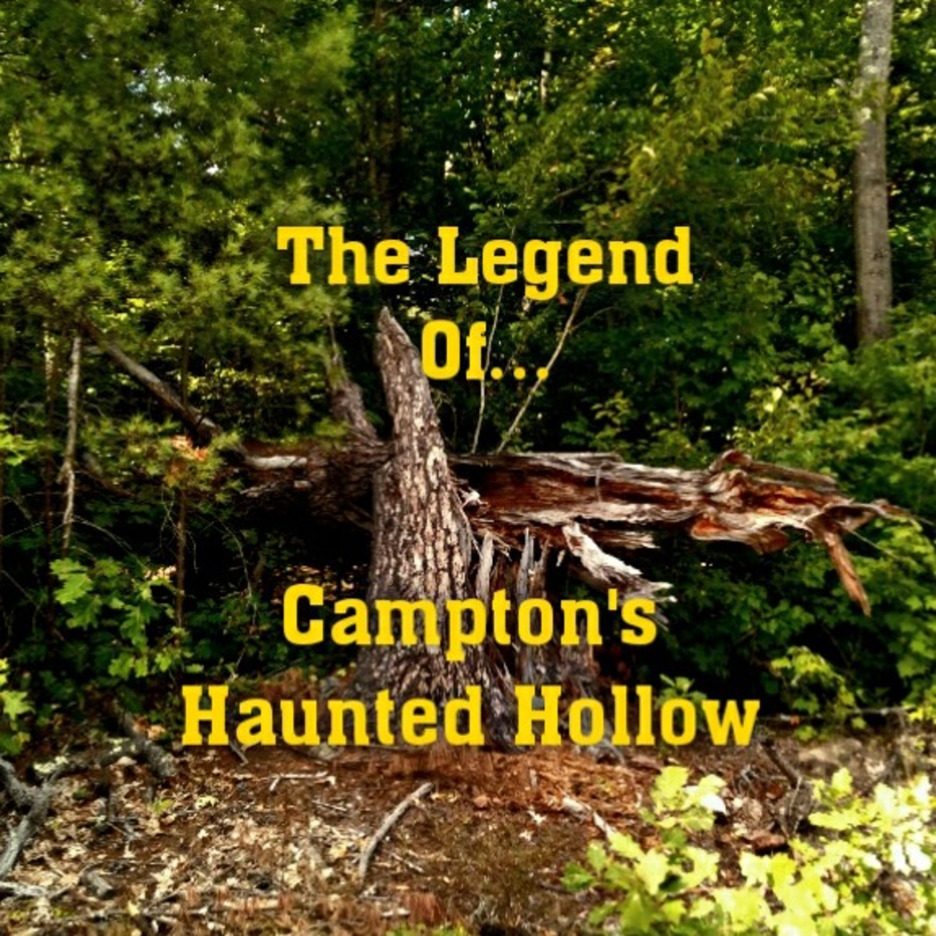 Local Legends: New England