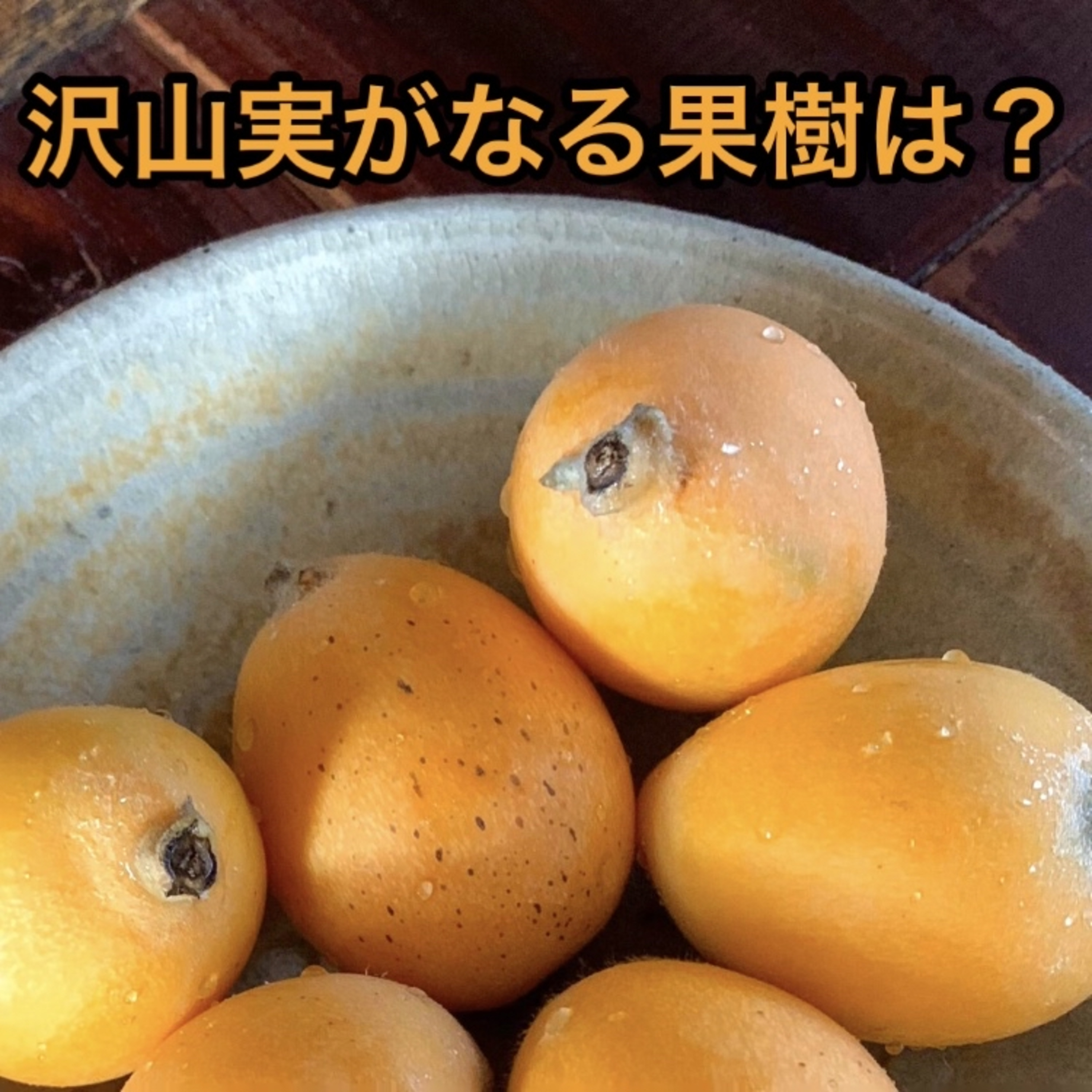 手間いらずで毎年収穫できる果樹 episode artwork