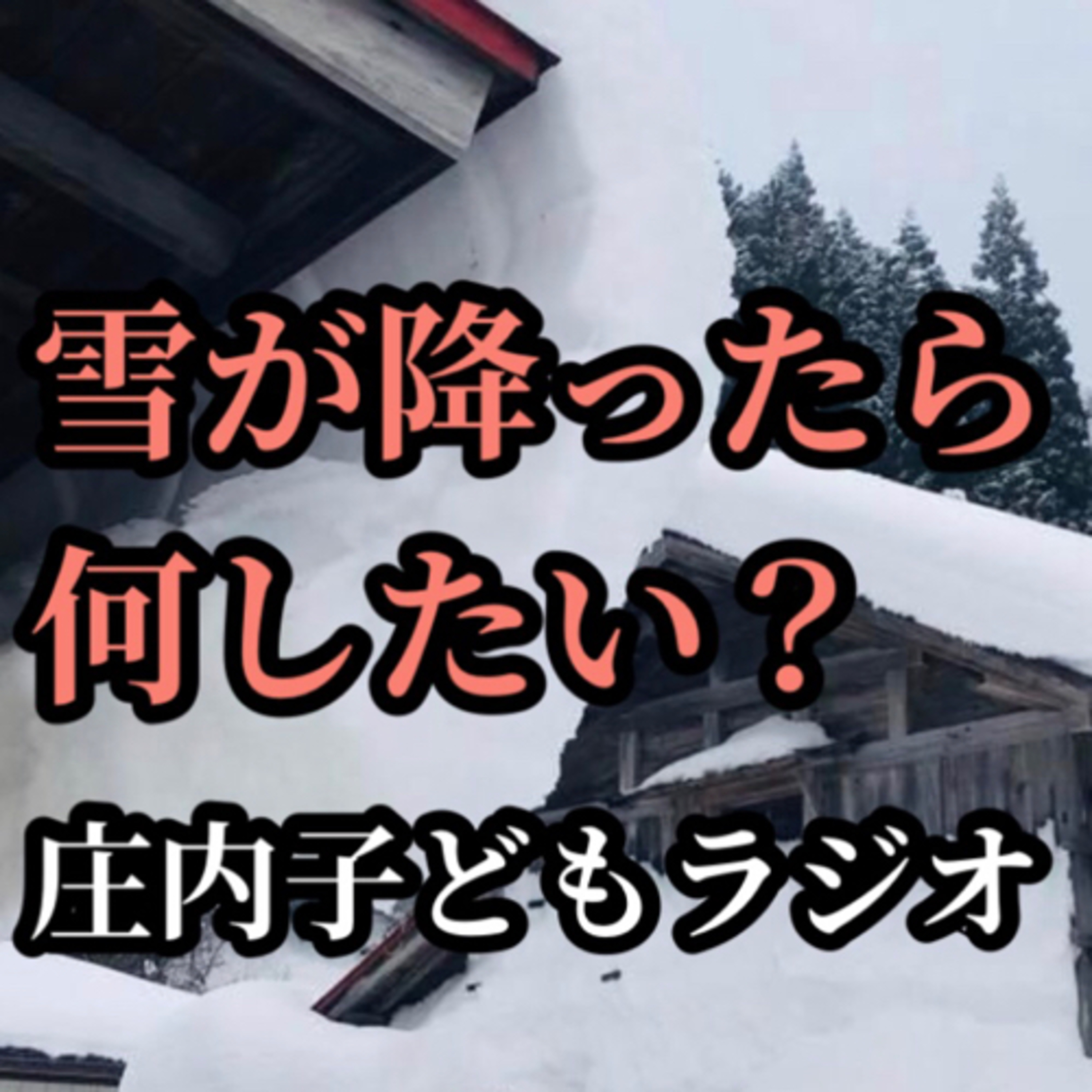 子どもラジオ：雪が沢山降ったら何をしたい？を募集 episode artwork