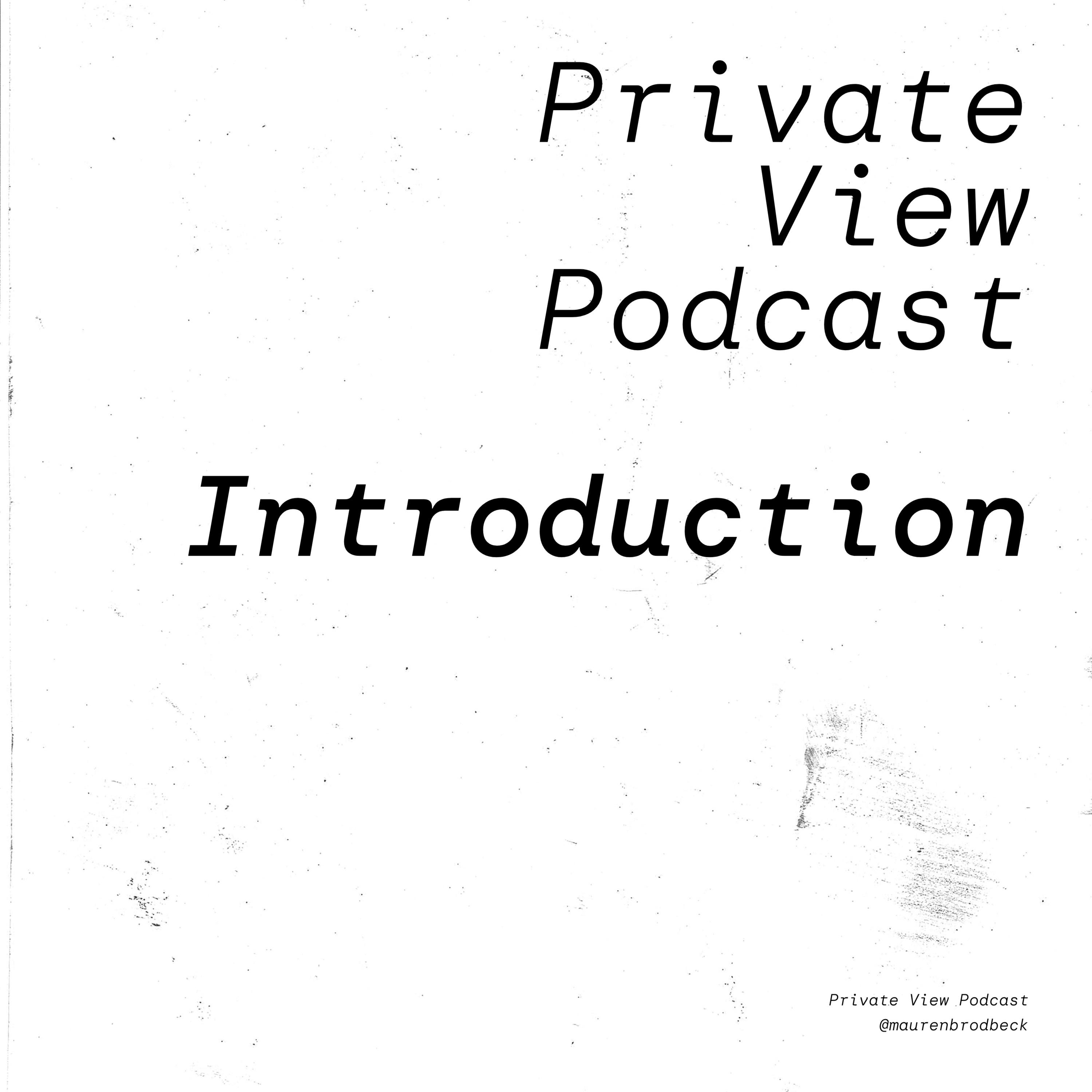 Private View Podcast by artist Mauren Brodbeck, on getting real about being a woman in the arts