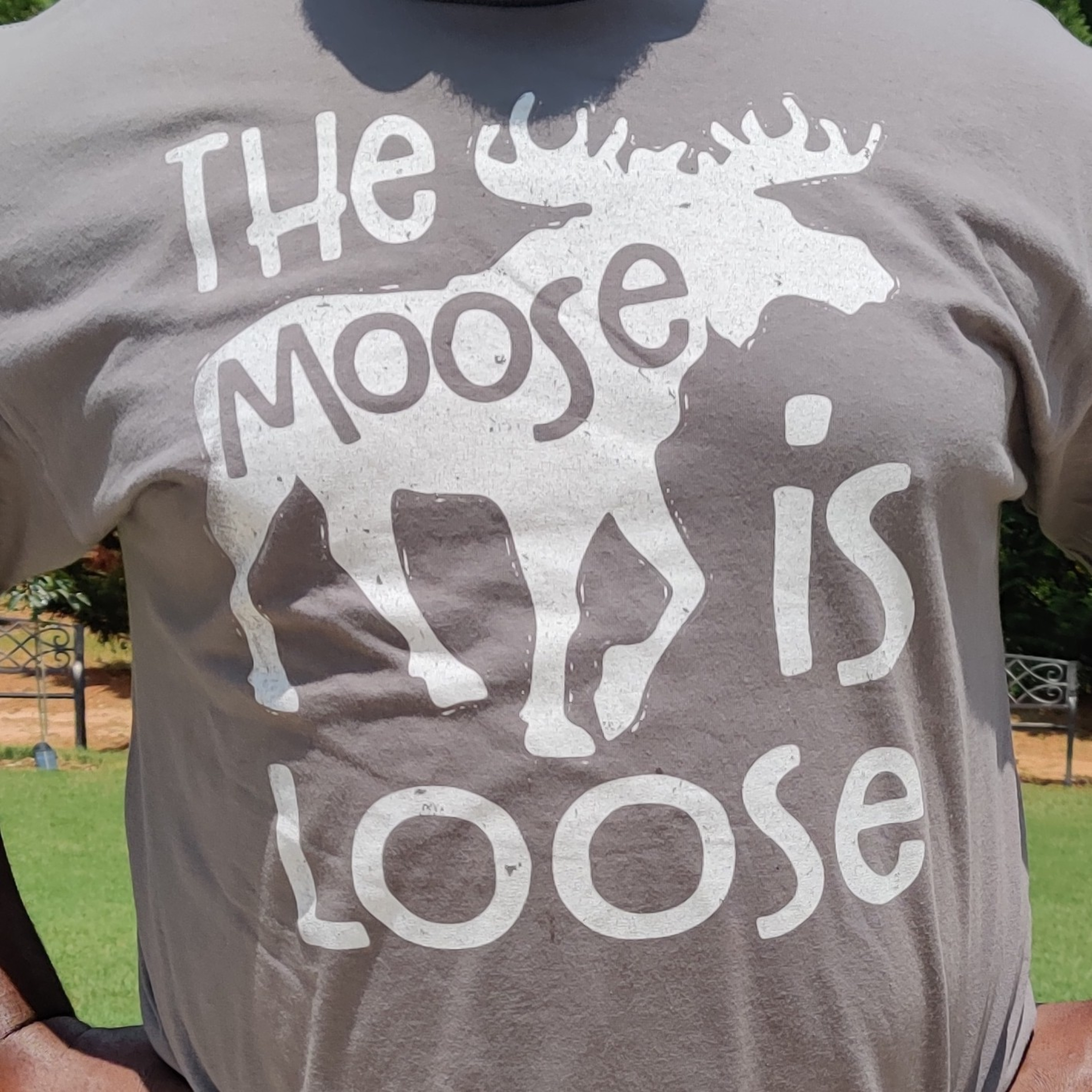 The Moose Is Loose