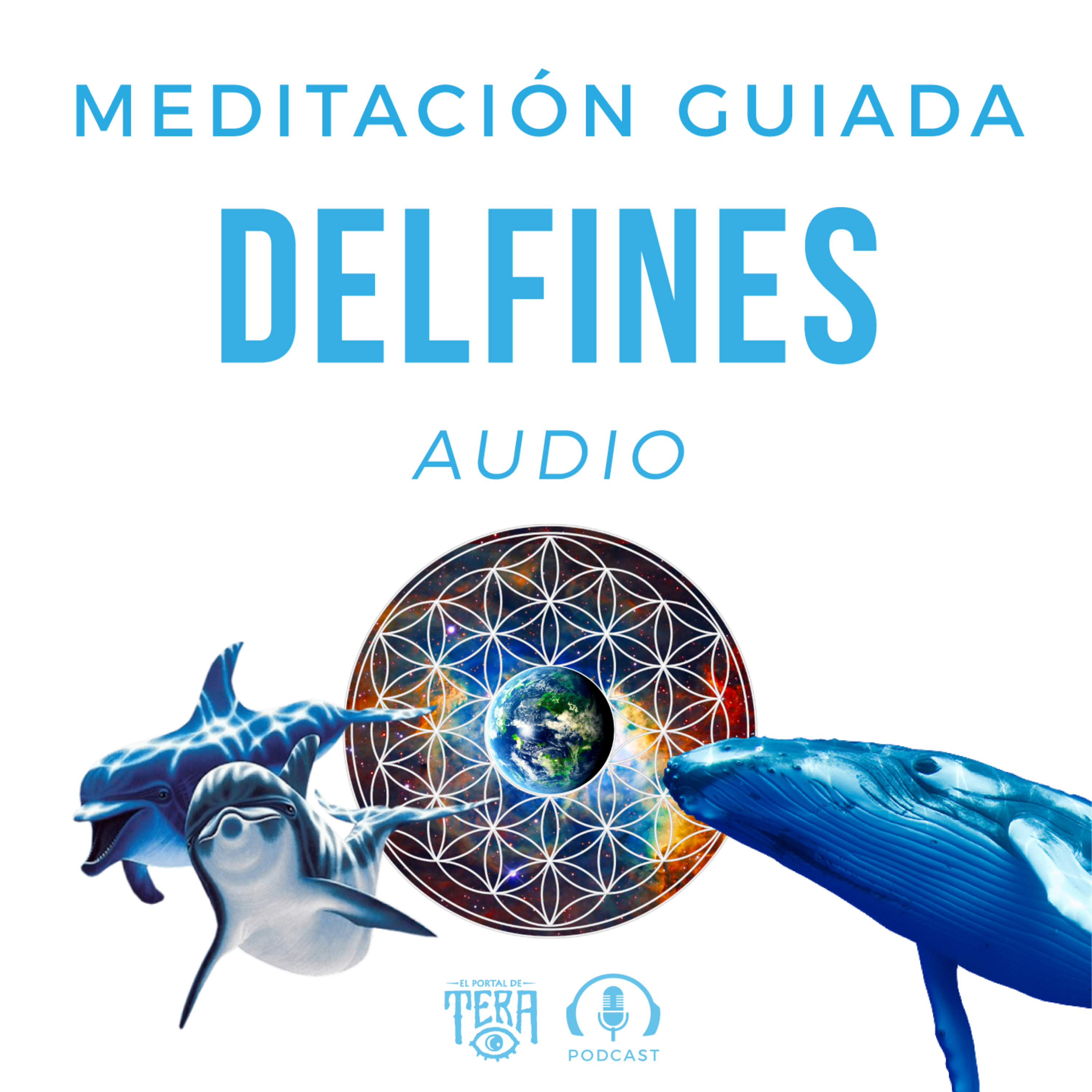 Medita con Dev