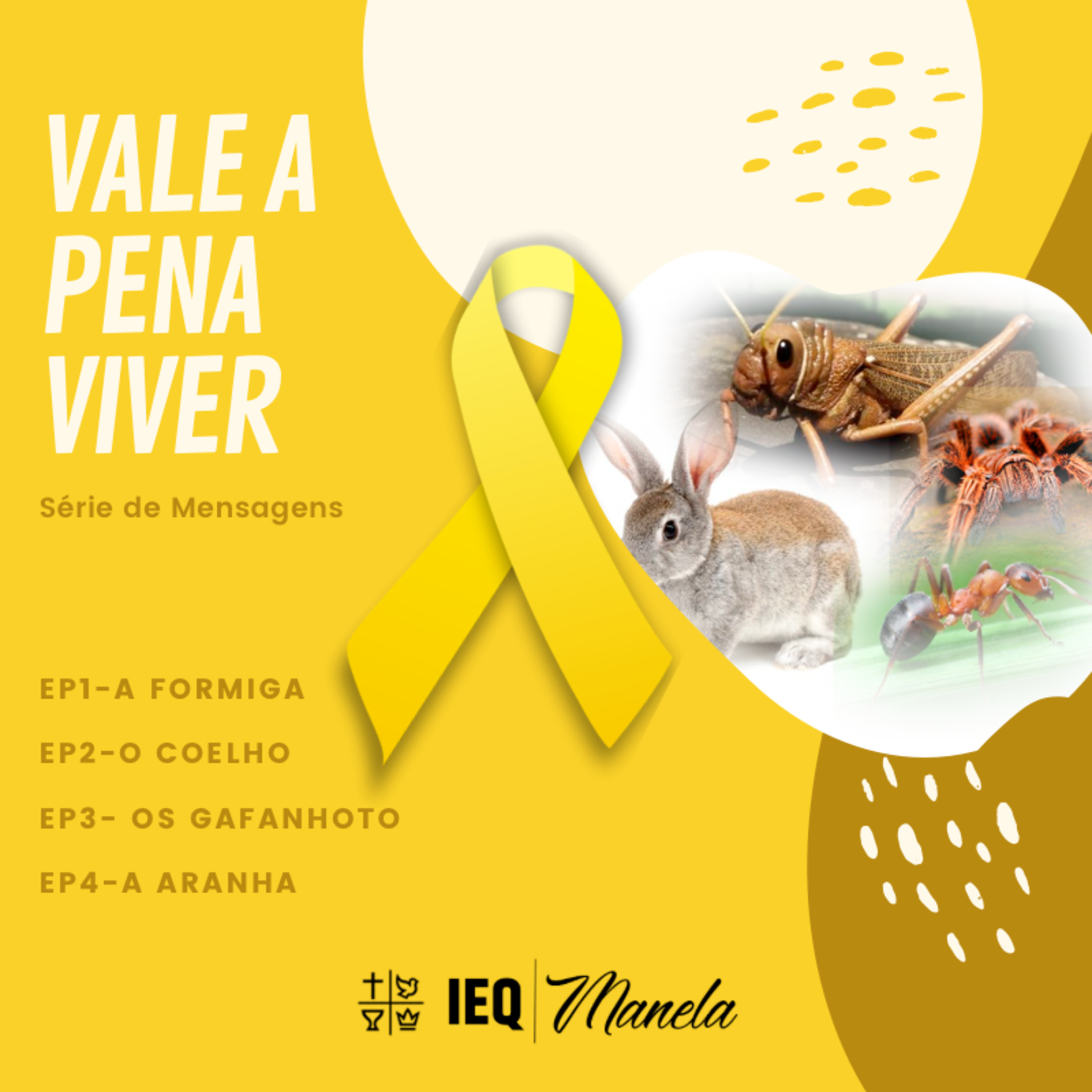 Vale a Pena Viver - O coelho episode artwork