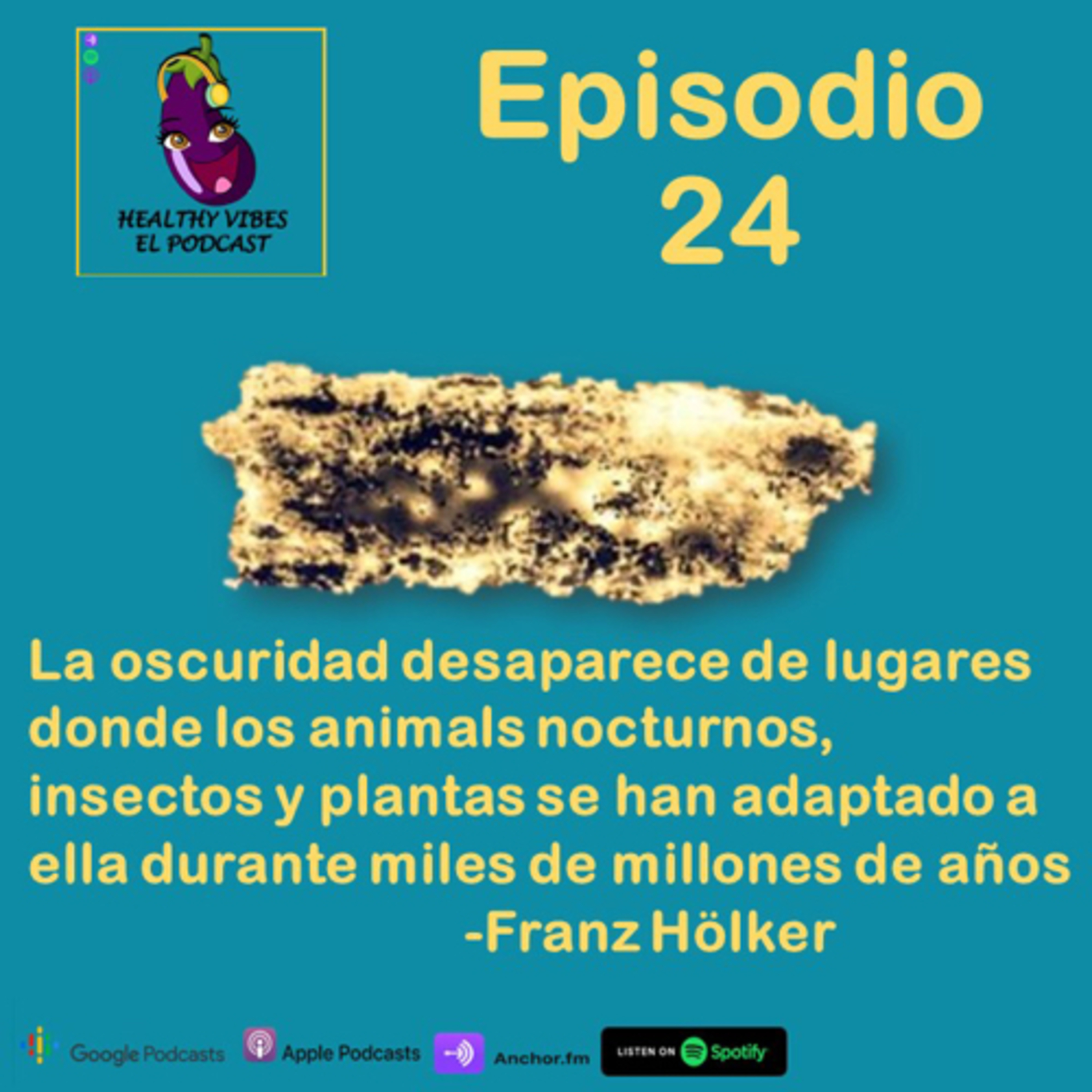 Vibra Saludable ° El Podcast °