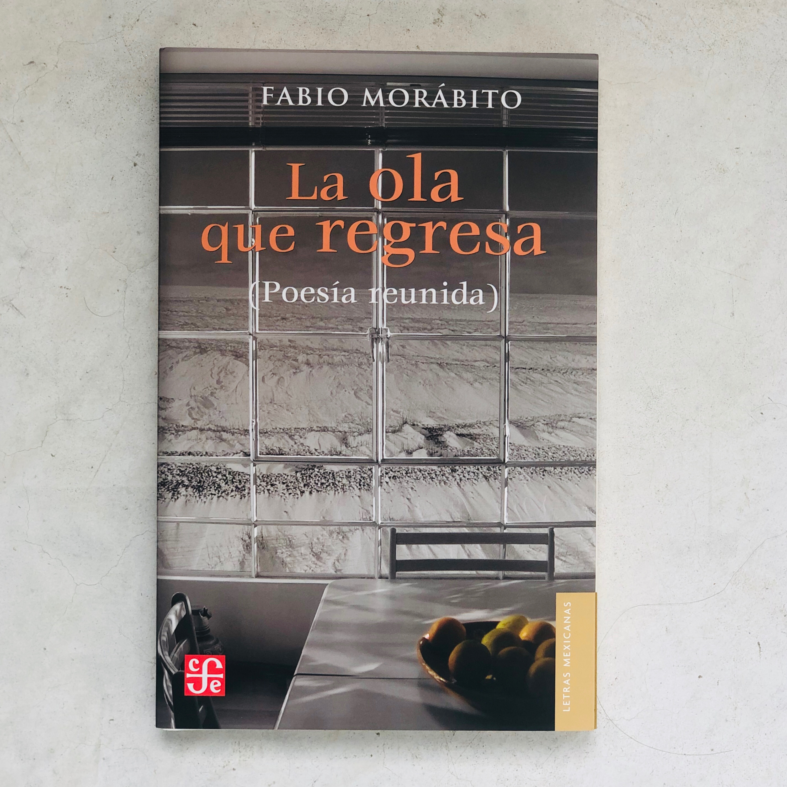 La pieza libros y arte.