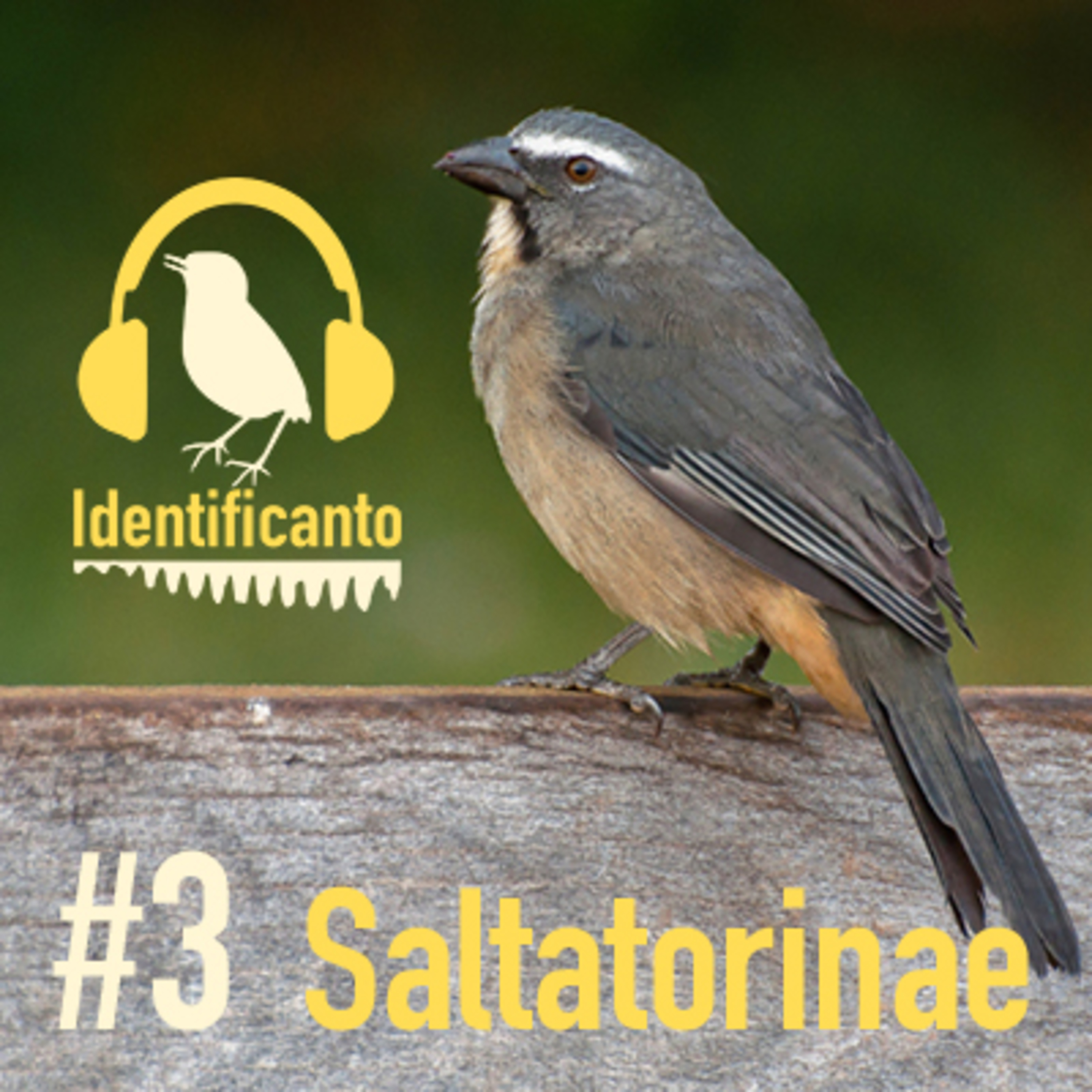 Identificanto