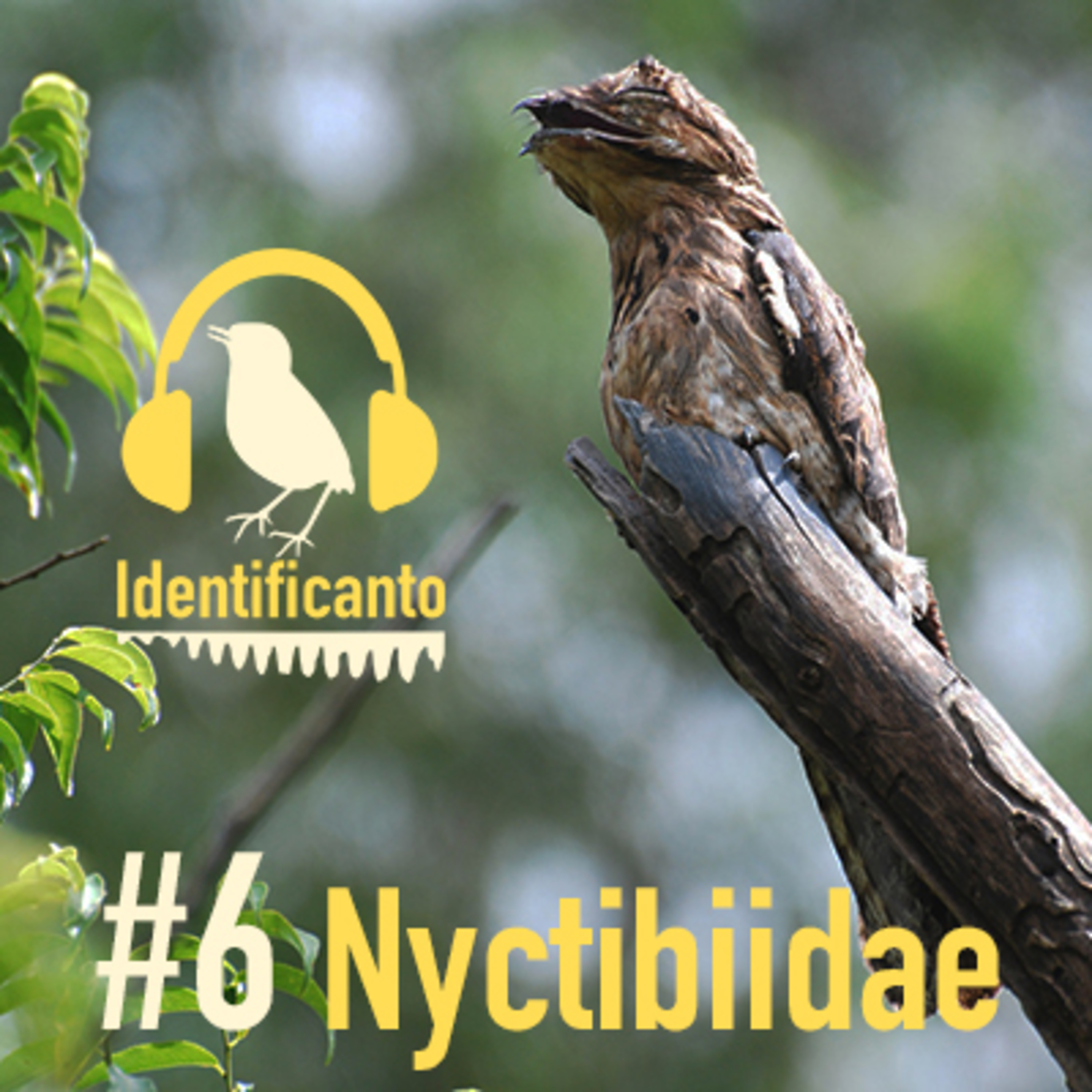 Identificanto