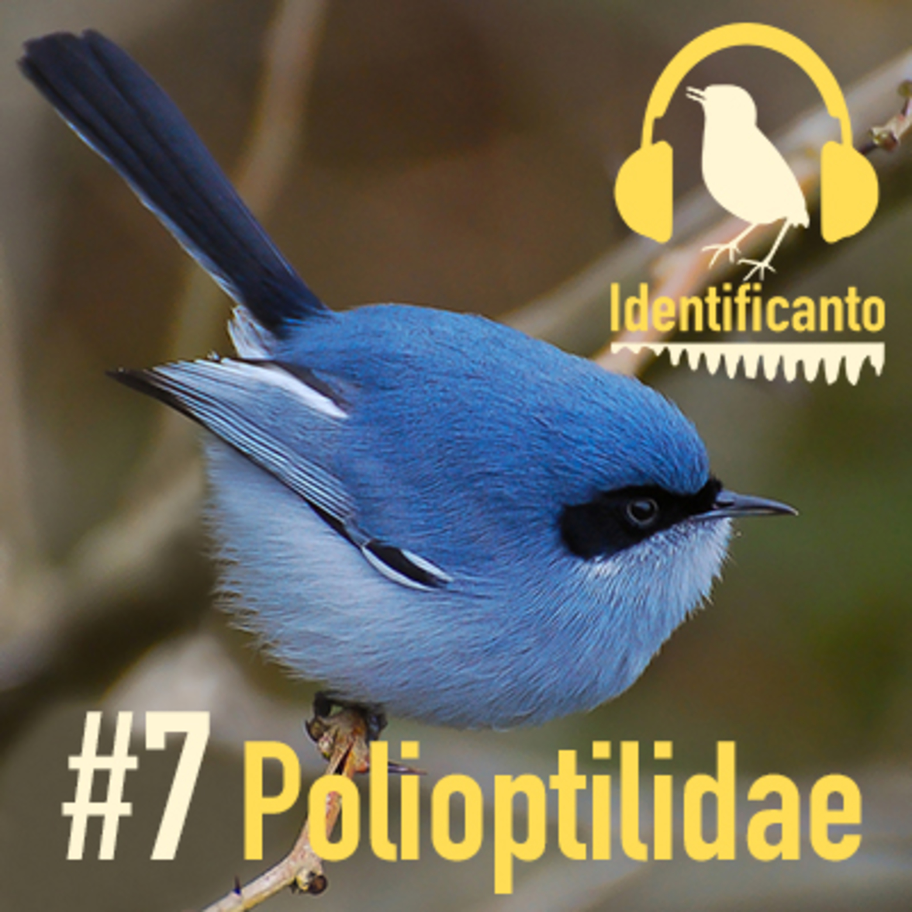 Identificanto