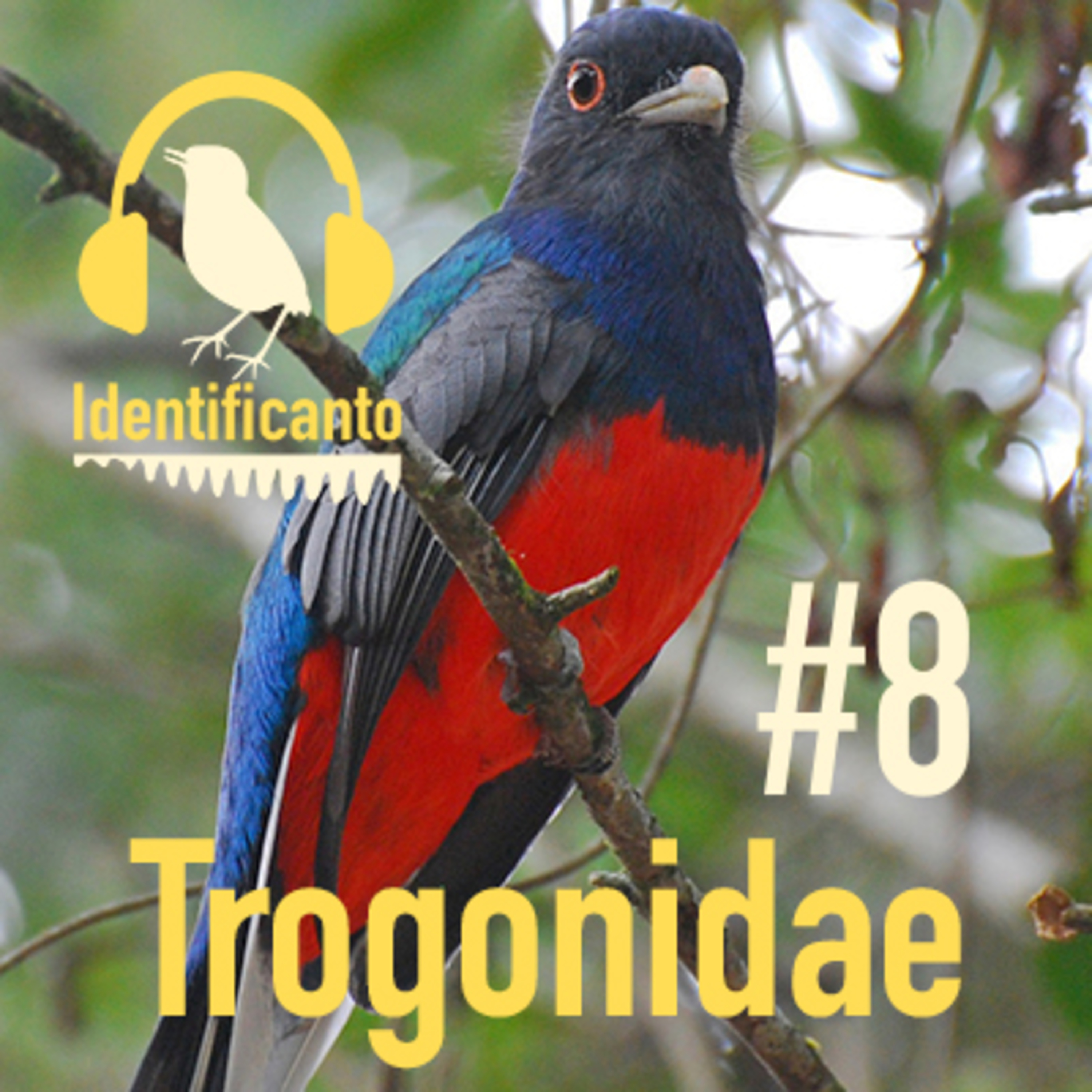 Identificanto