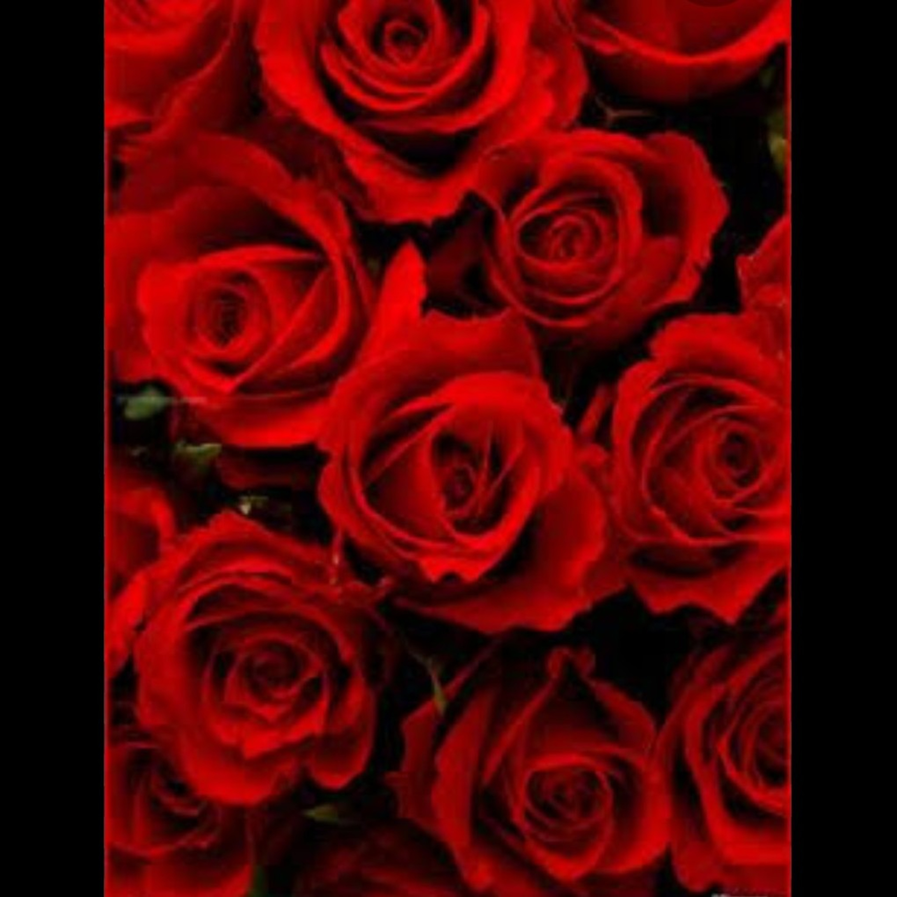 Sonhos Premonitórios, avisos, mensagens, anjos🌹🌹🌹
