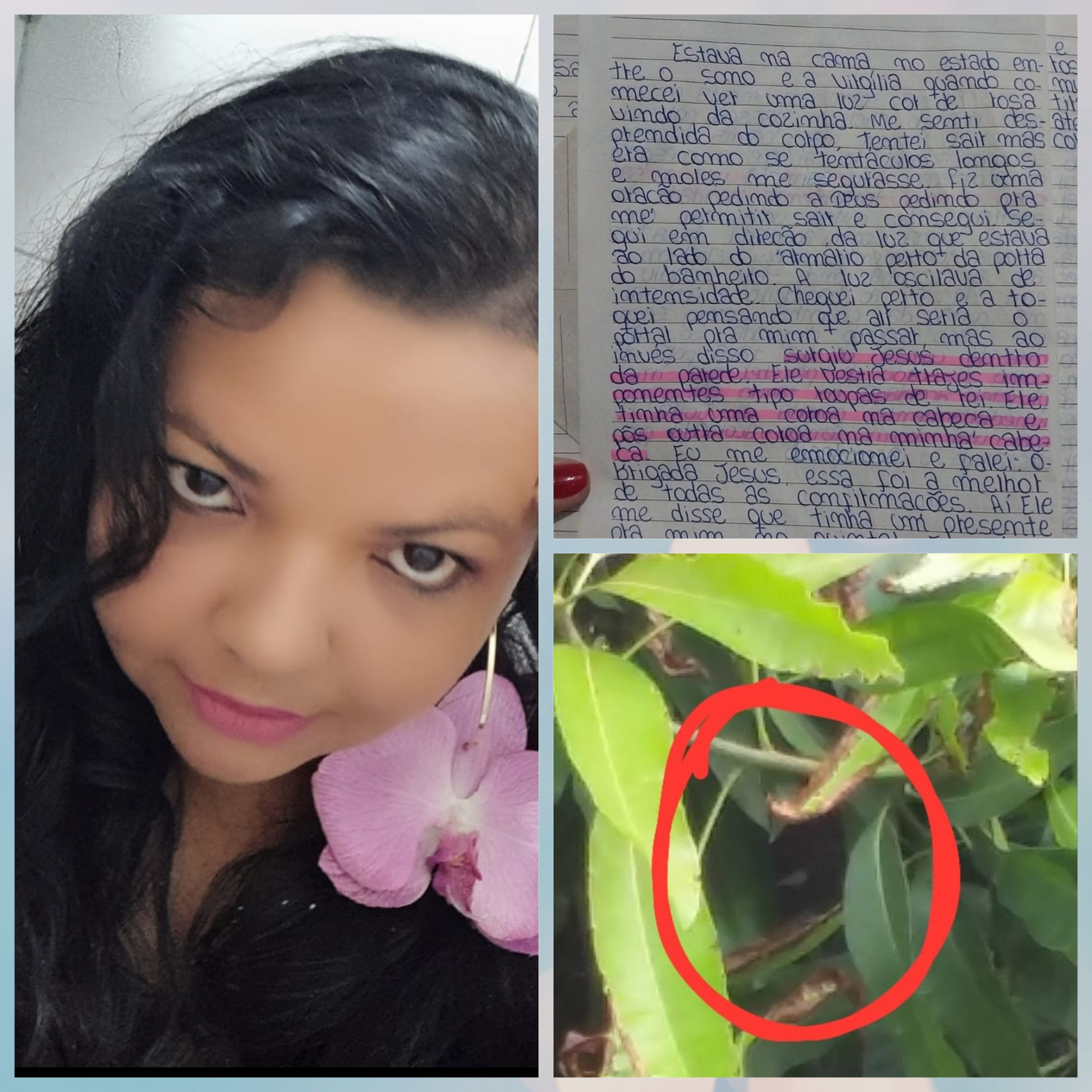 Curiosidades Do Céu 🛸👽Instagram @maracuriosidadesdoceu1