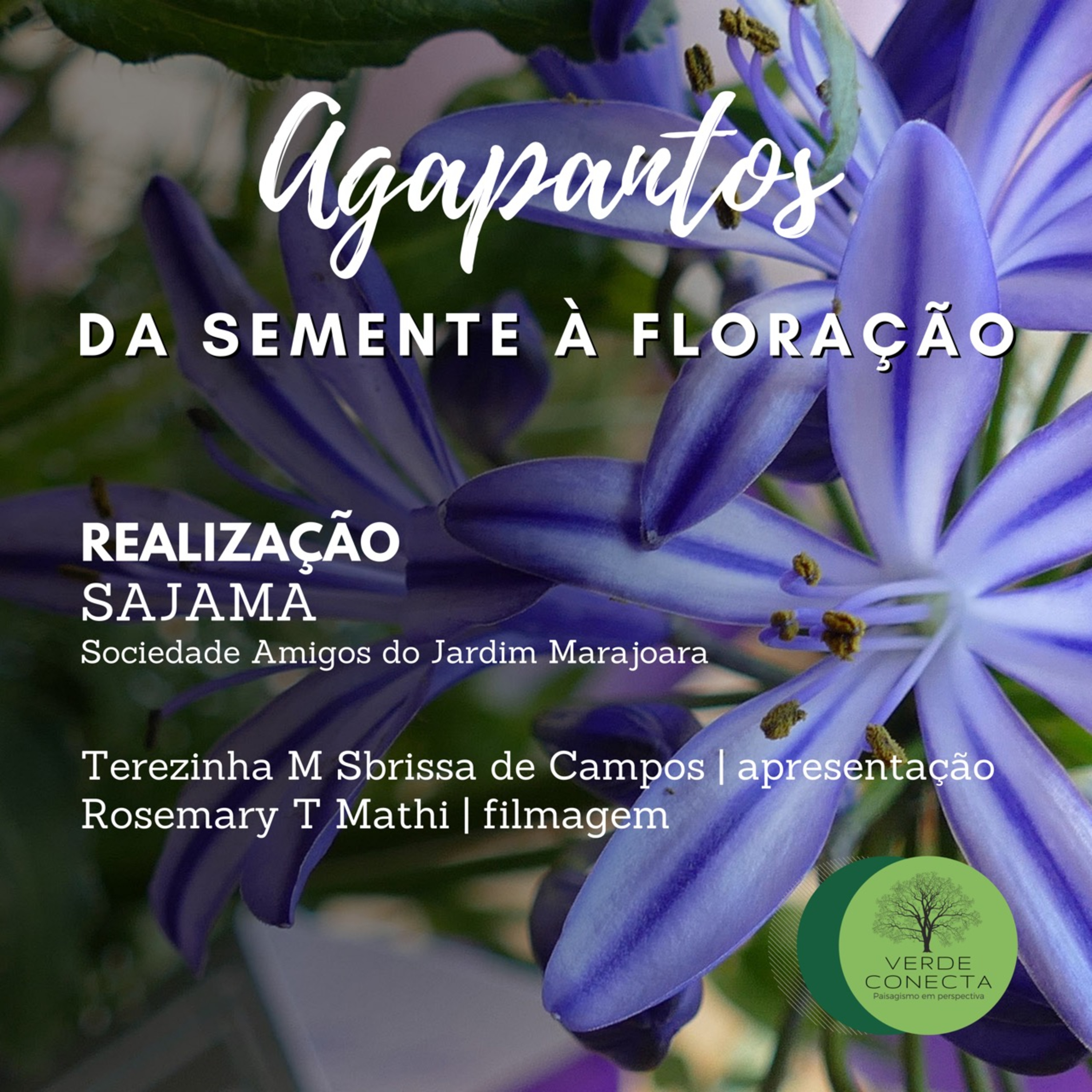 VERDE CONECTA | A VIDA COM MAIS NATUREZA