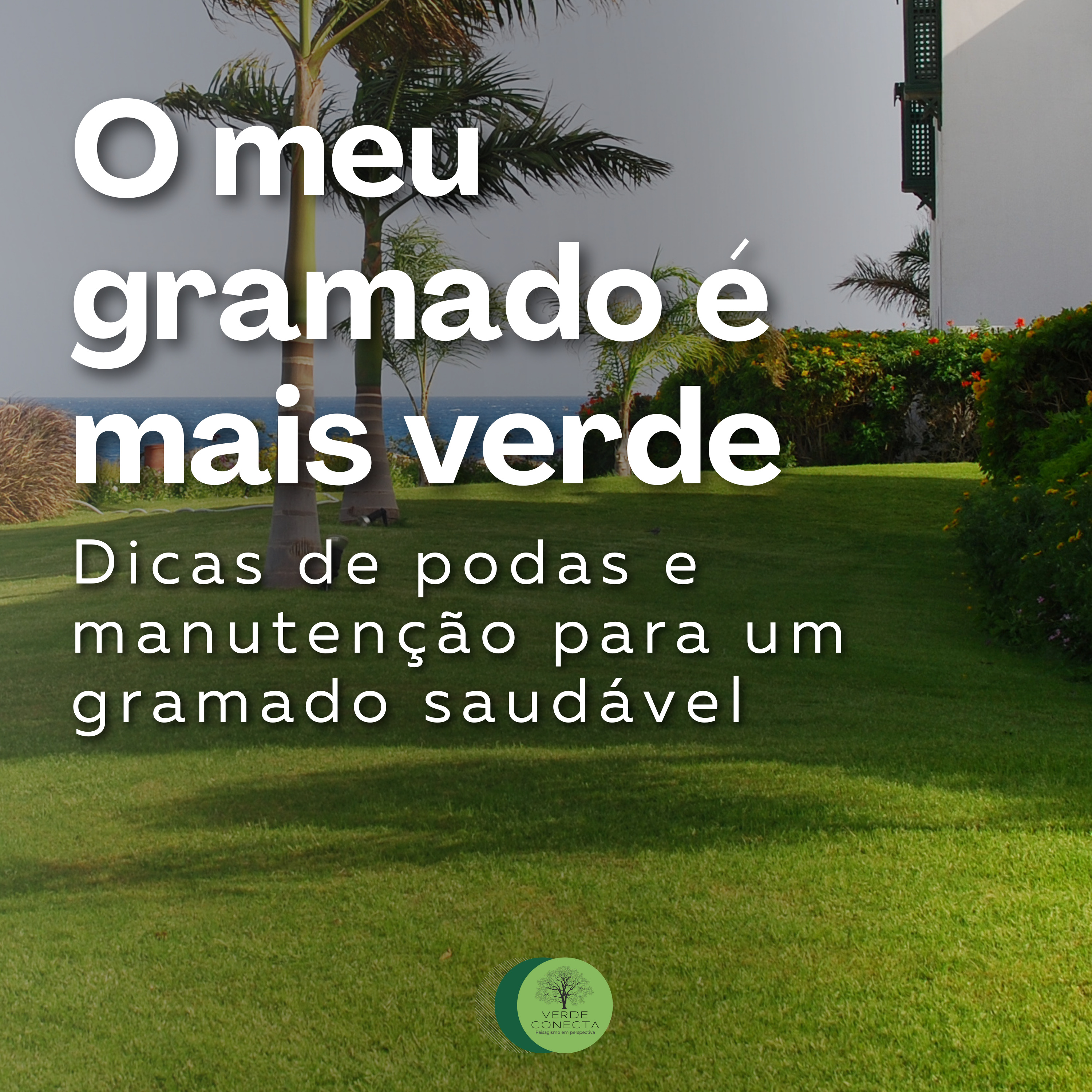 VERDE CONECTA | A VIDA COM MAIS NATUREZA