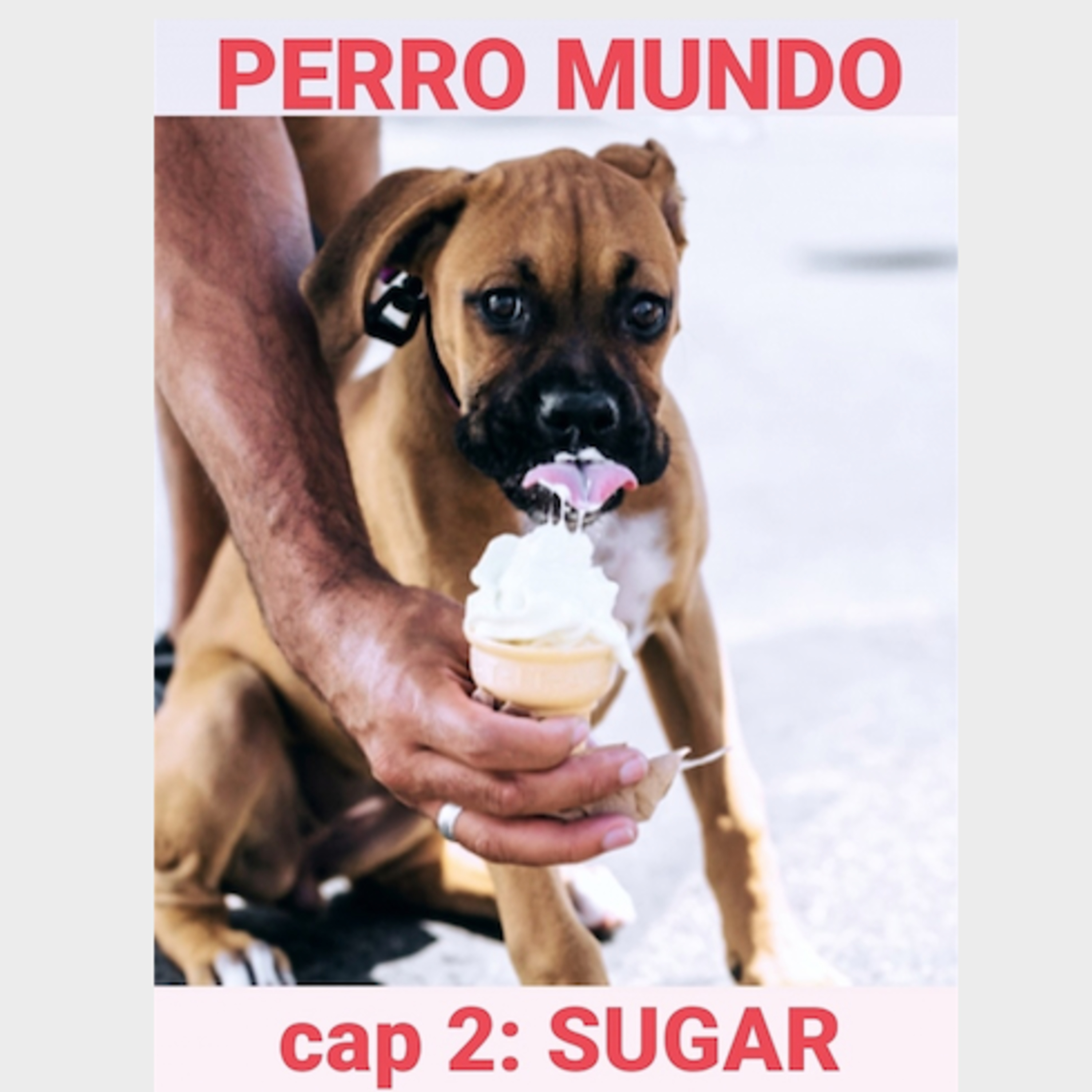 Perro Mundo
