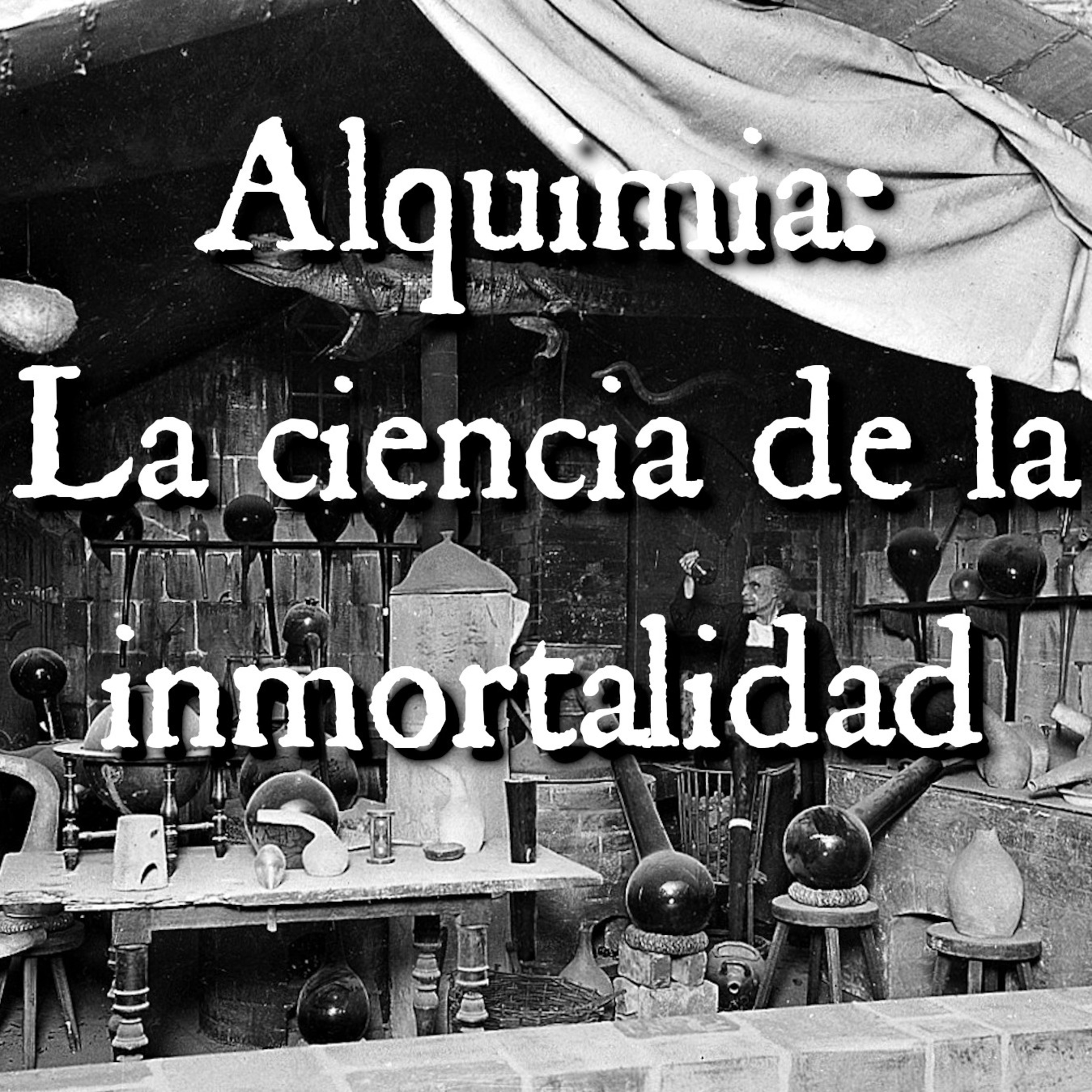 Biblioteca Arcana - Historias De Terror