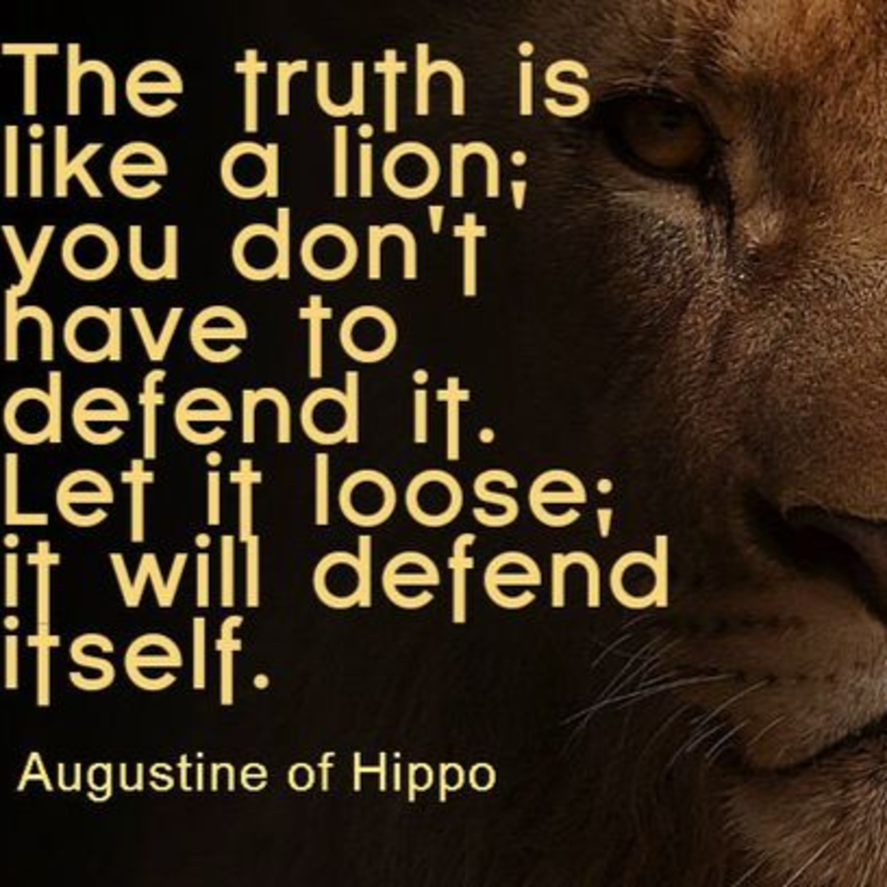 #Muchmore Truth