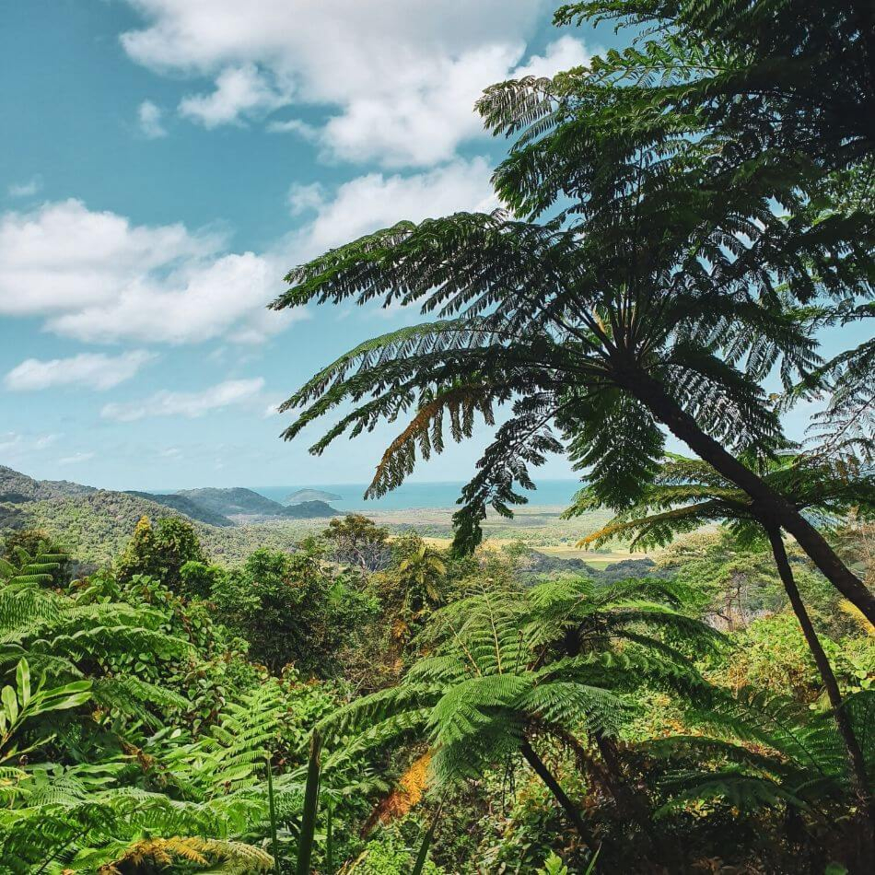 Inforum Warm Up Pre-Intermediate