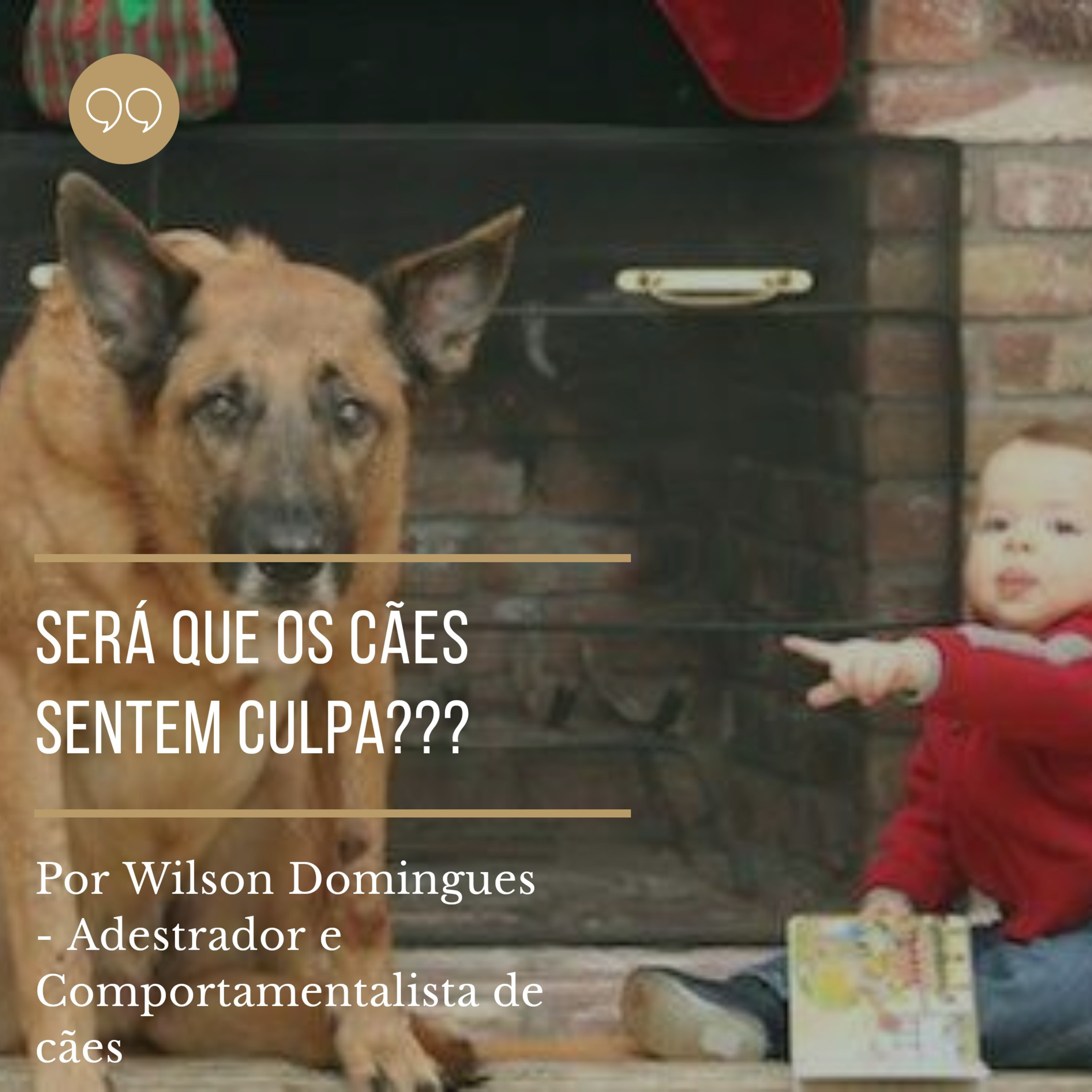 Adestrador Wilson Domingues