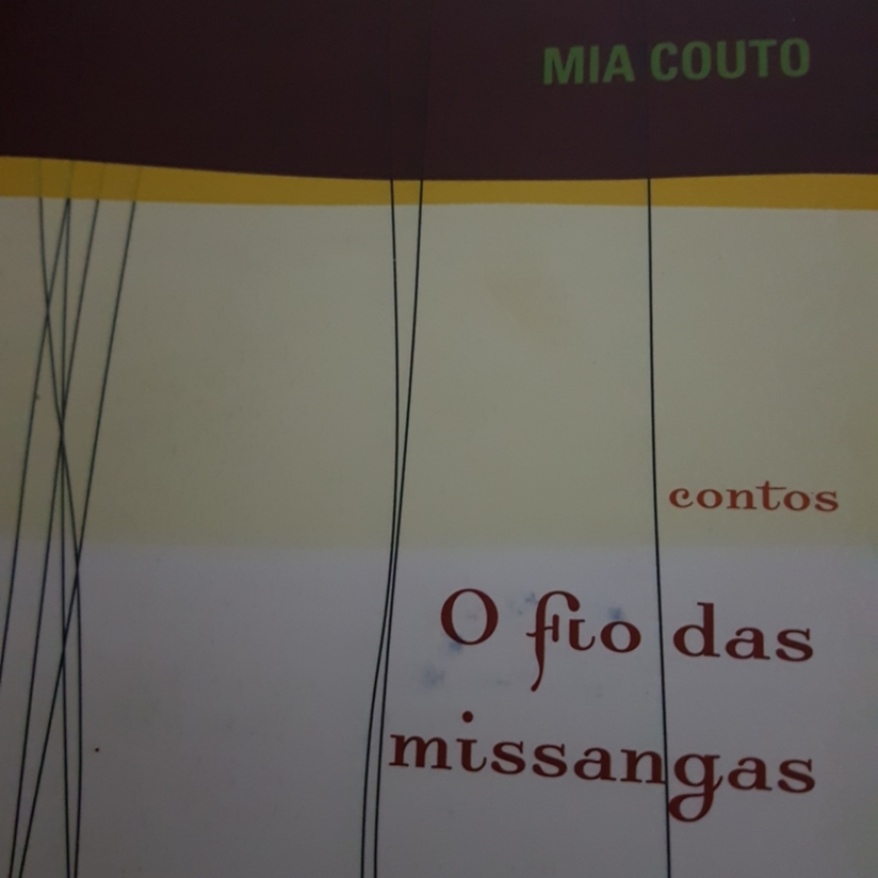 Leitora do Infinito
