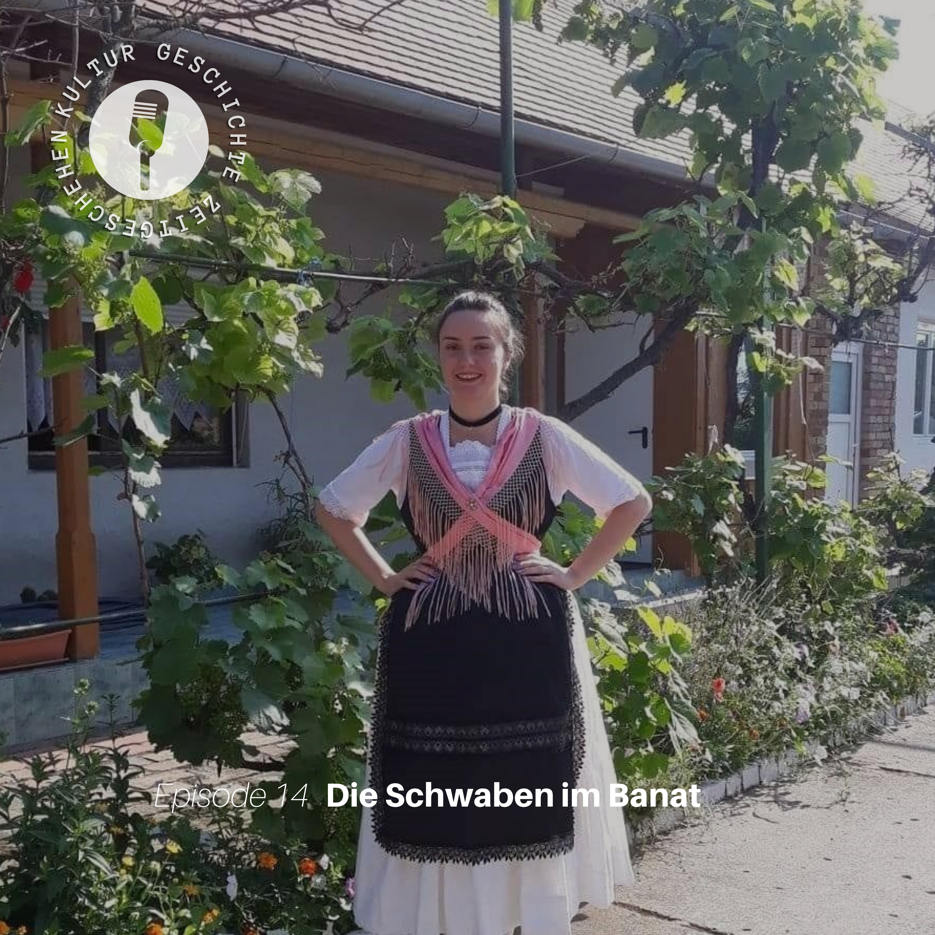 Die Sathmarer Schwaben