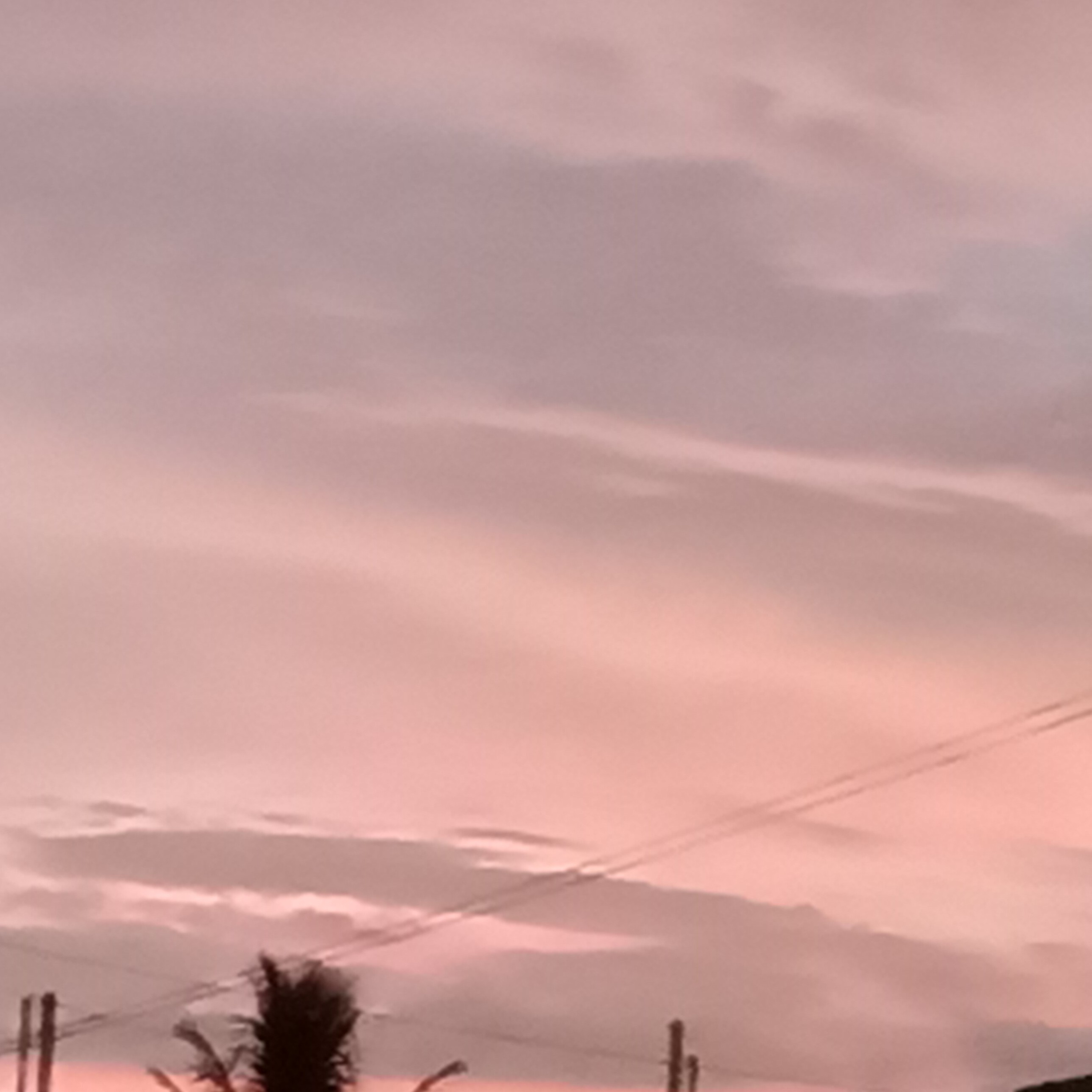 Sonali Hazra Chatterjee